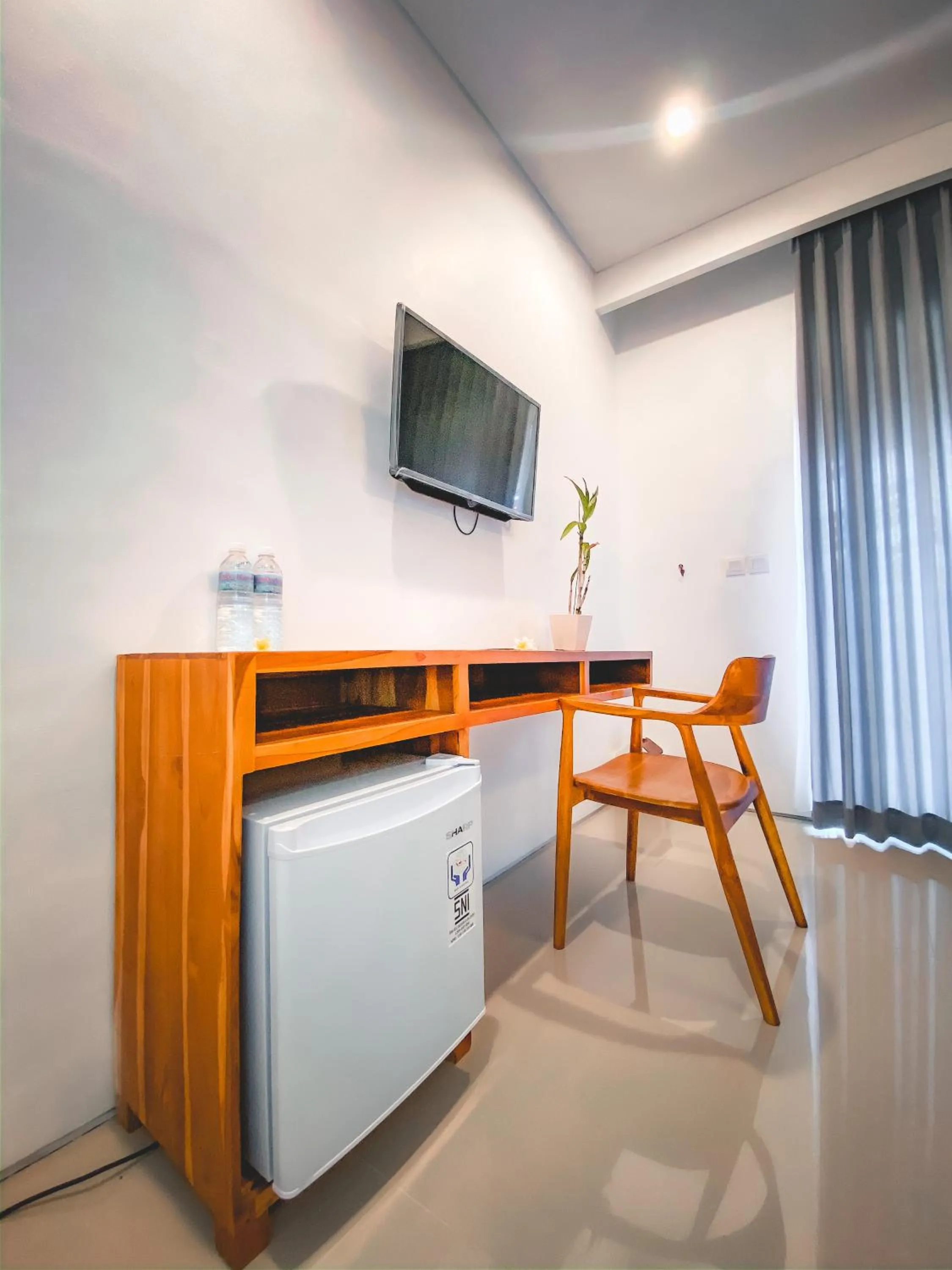 TV and multimedia in Radha Homestay