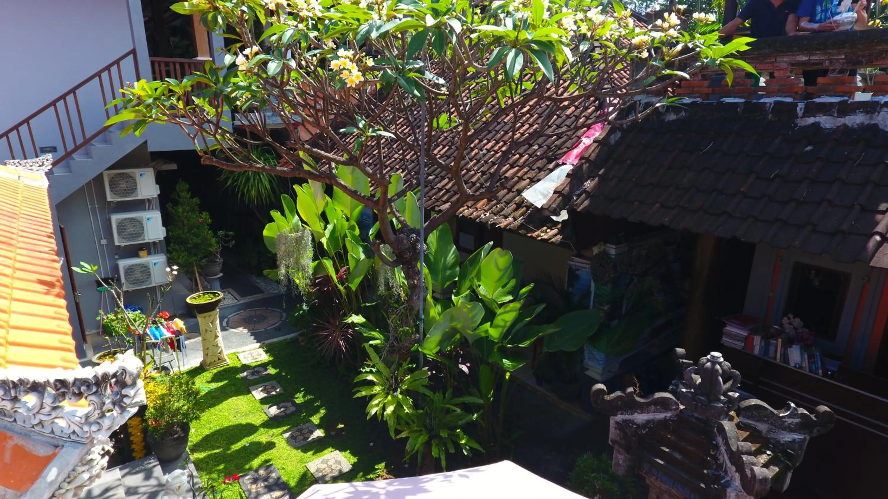 Garden in Radha Homestay