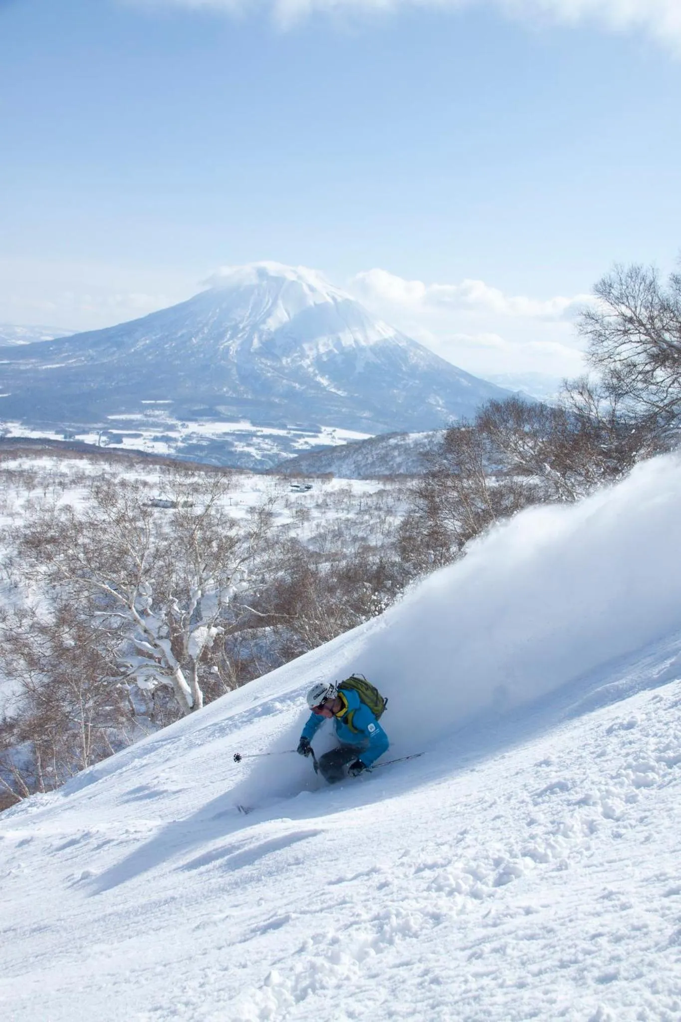 Activities in Niseko Landmark View