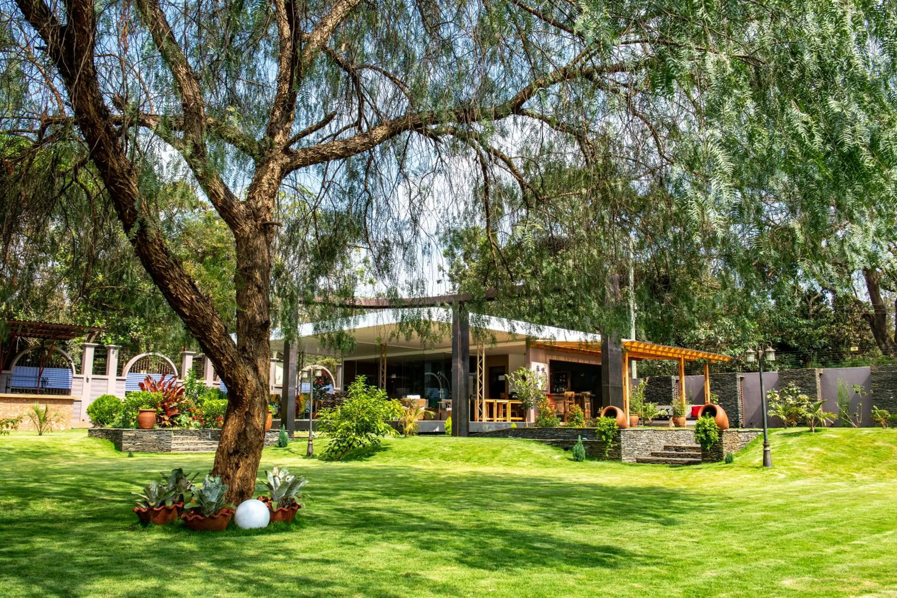 Garden in Kinga Homes Boutique Hotel