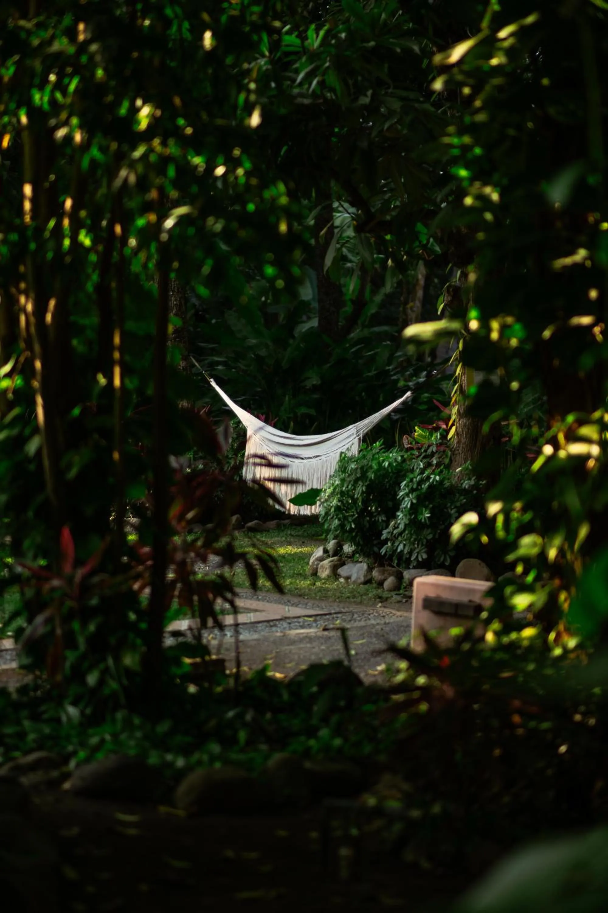 Natural landscape in La Paranera Hotel & Relax