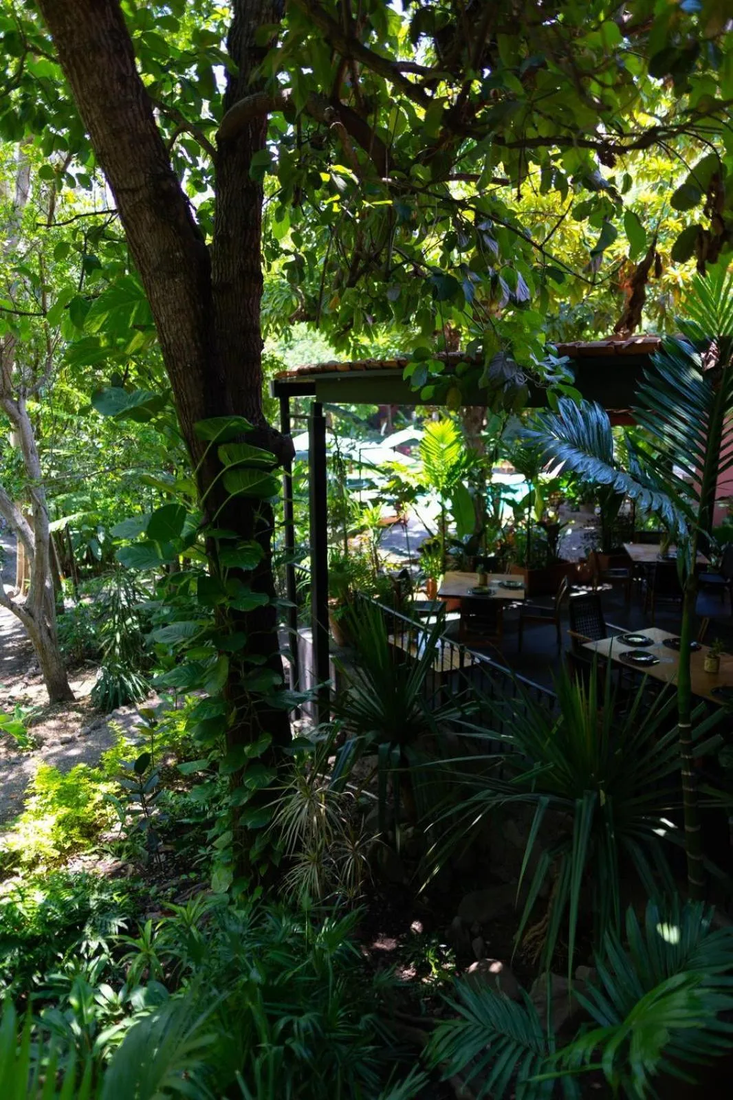 Garden view in La Paranera Hotel & Relax