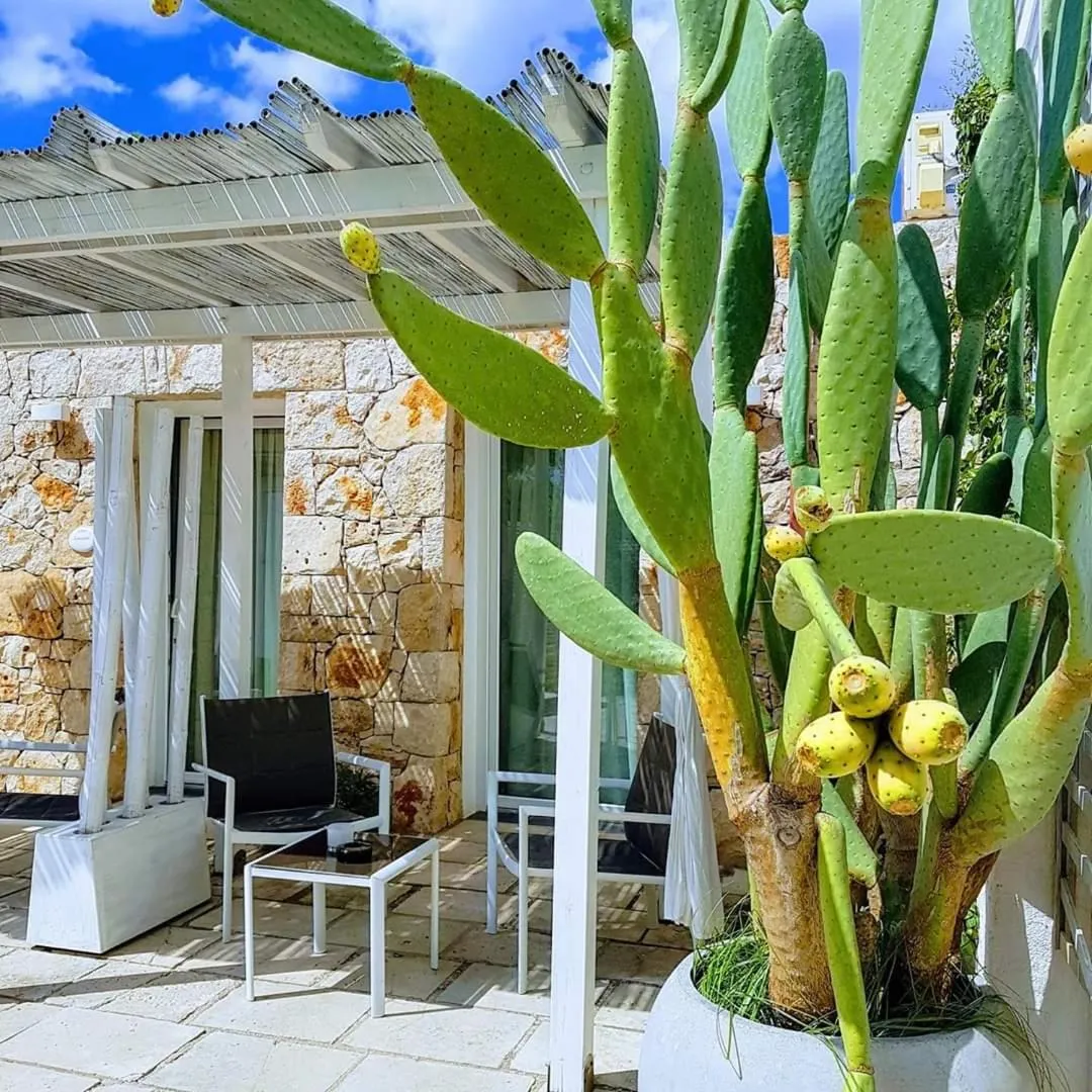 Garden view in La Giara Resort