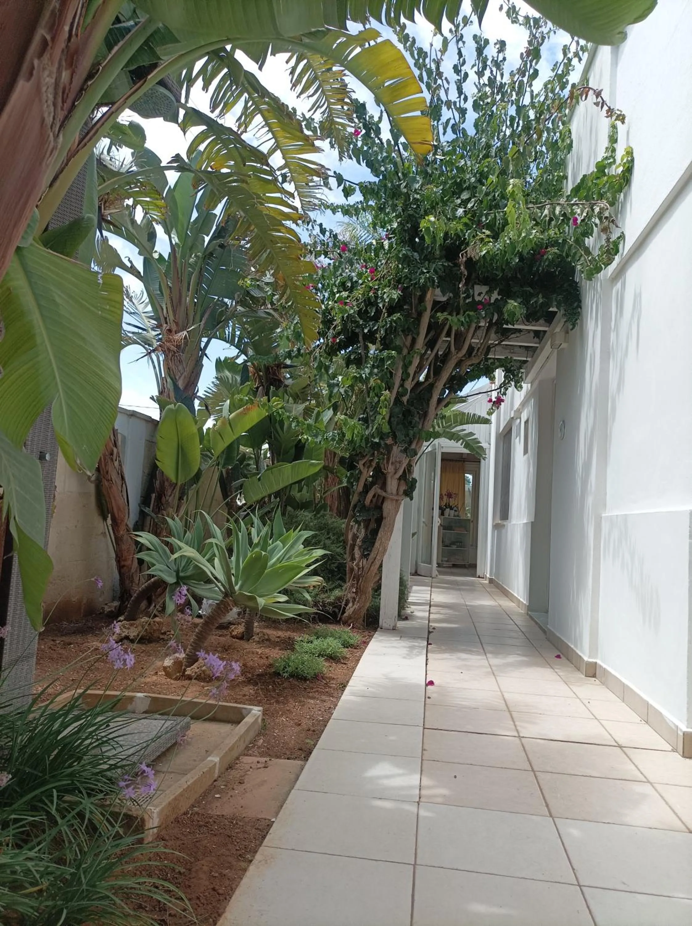 Garden view in La Giara Resort