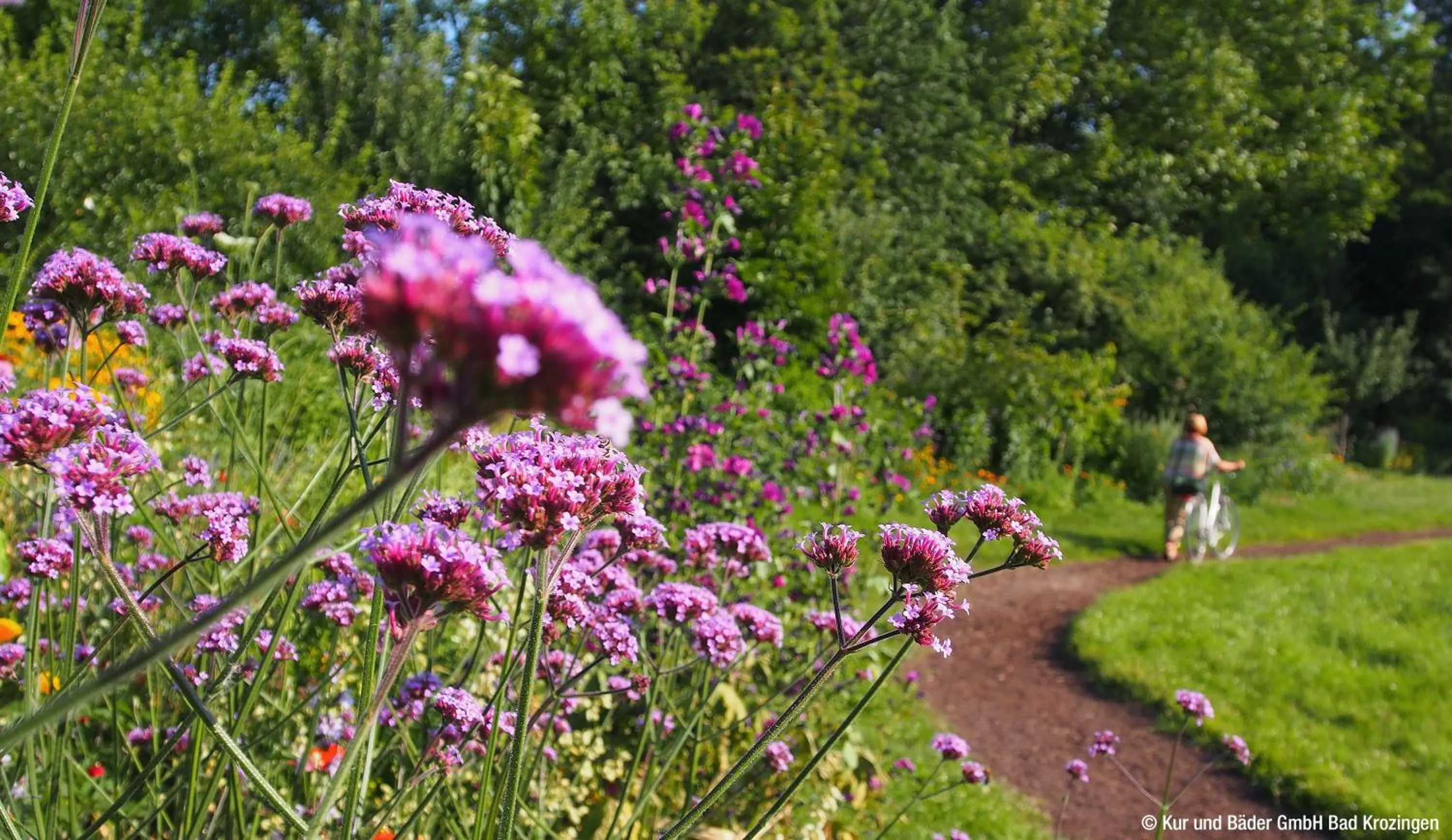 Hiking in Eden Hotel