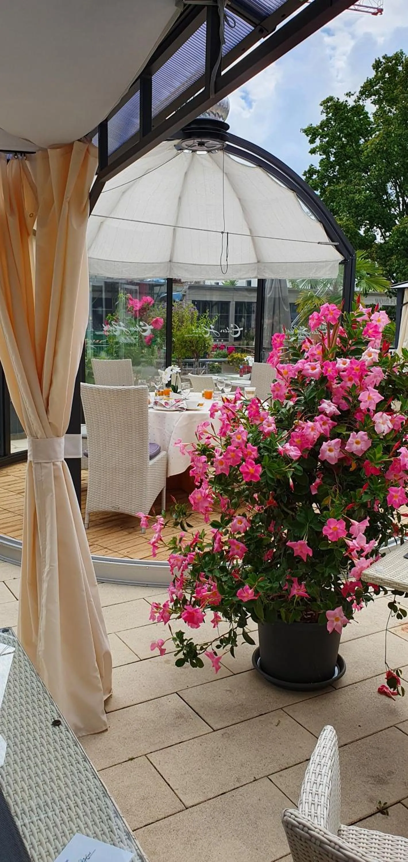 Restaurant/places to eat in Eden Hotel