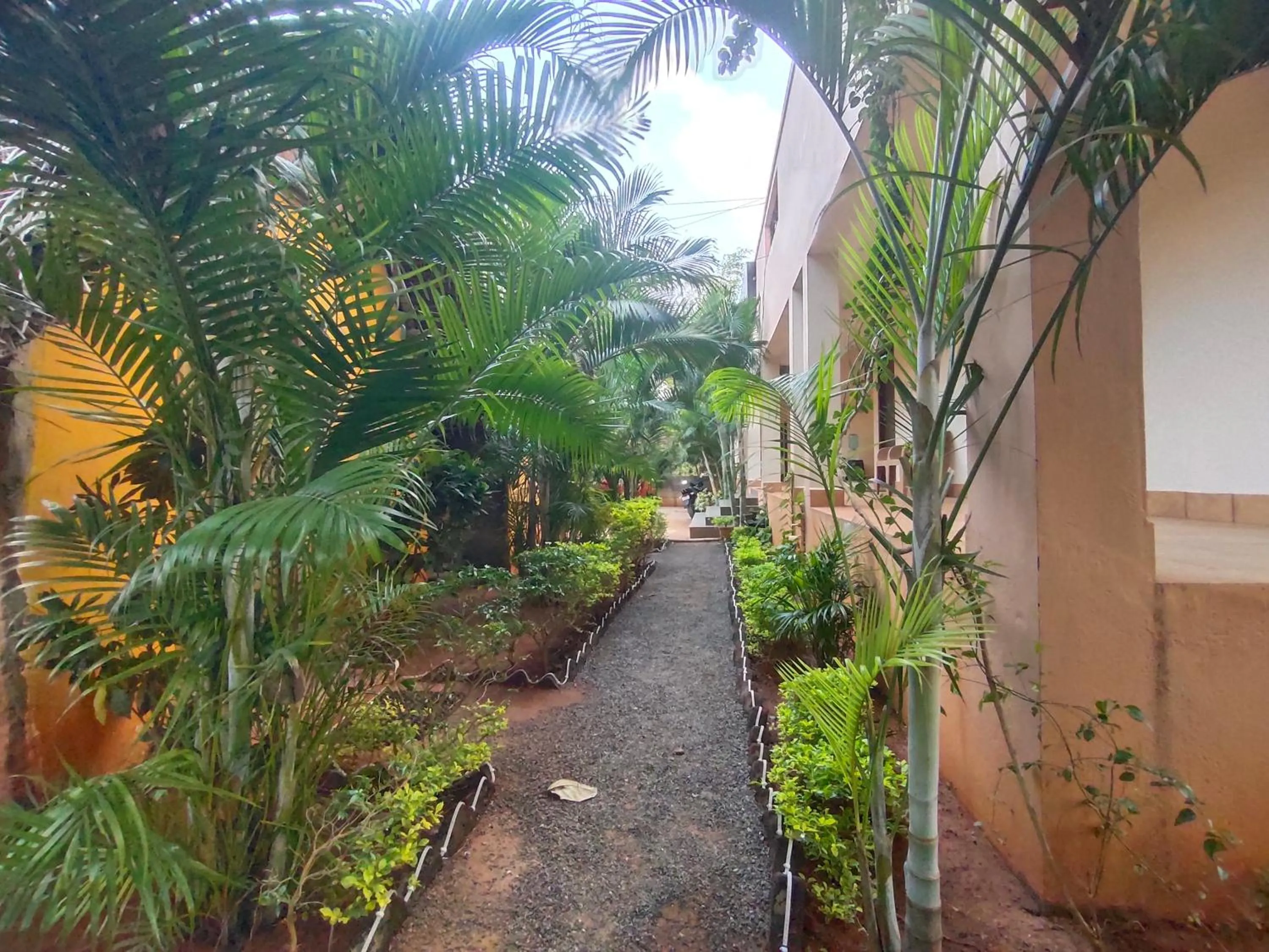 Property building in PV Resort - Auro Beach