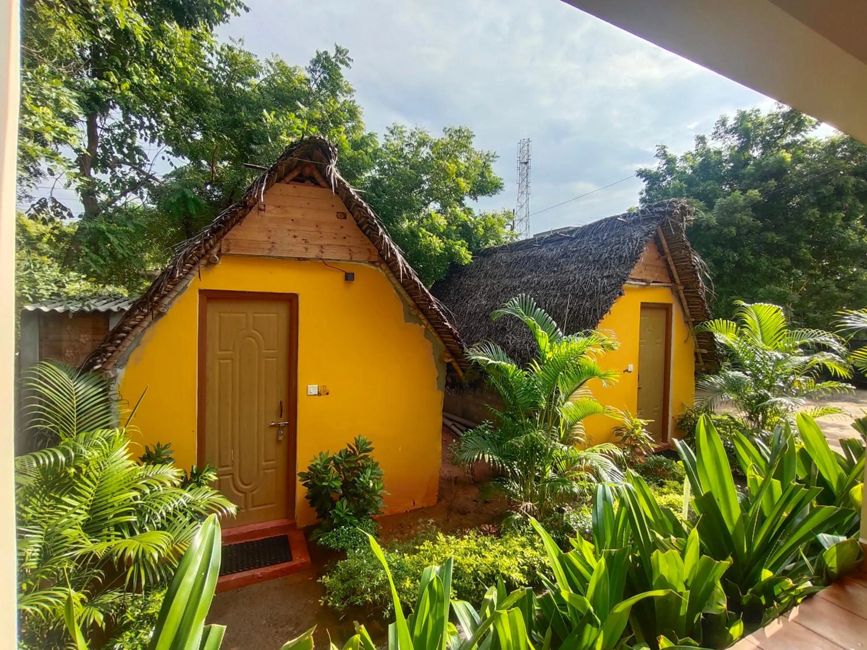 Garden view in PV Resort - Auro Beach