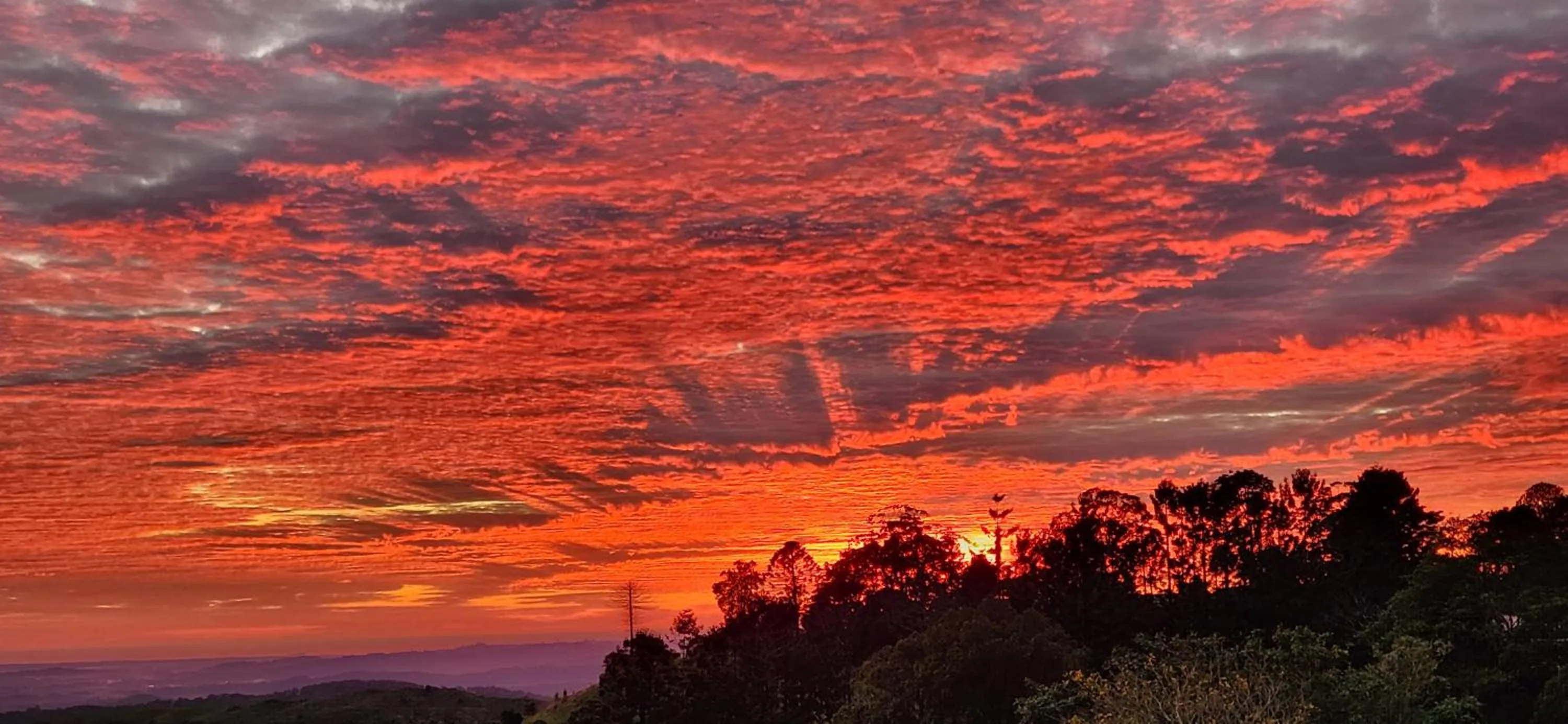 View (from property/room) in Maleny Views Motel