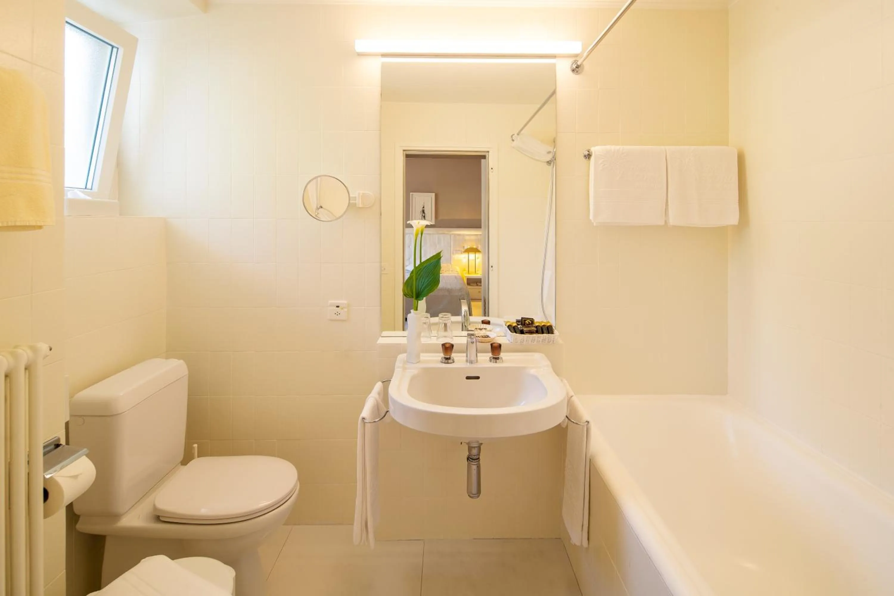 Toilet in Hotel Ascona