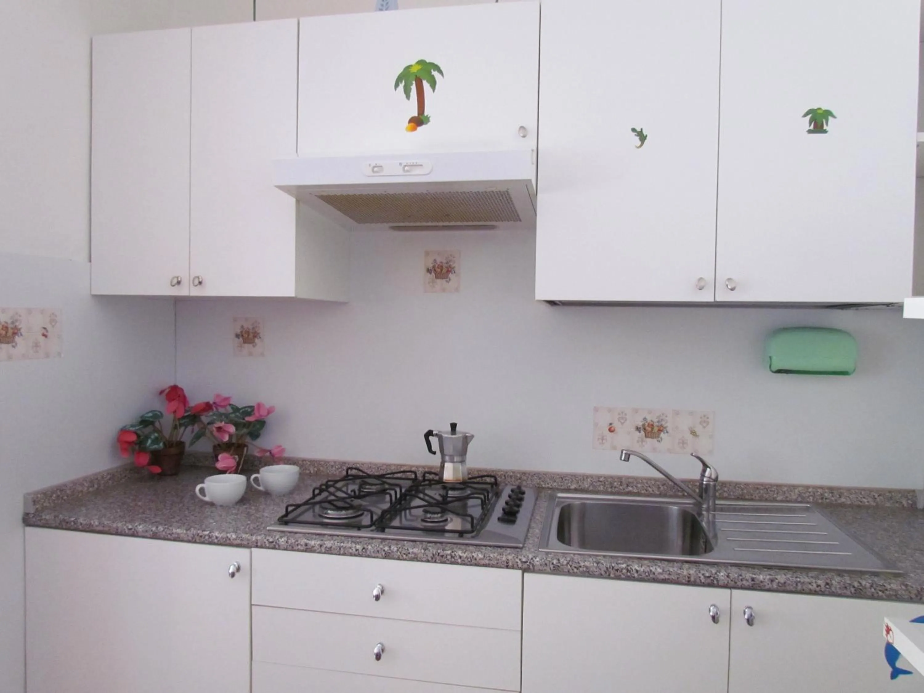 kitchen in Spacious apartment with large balcony