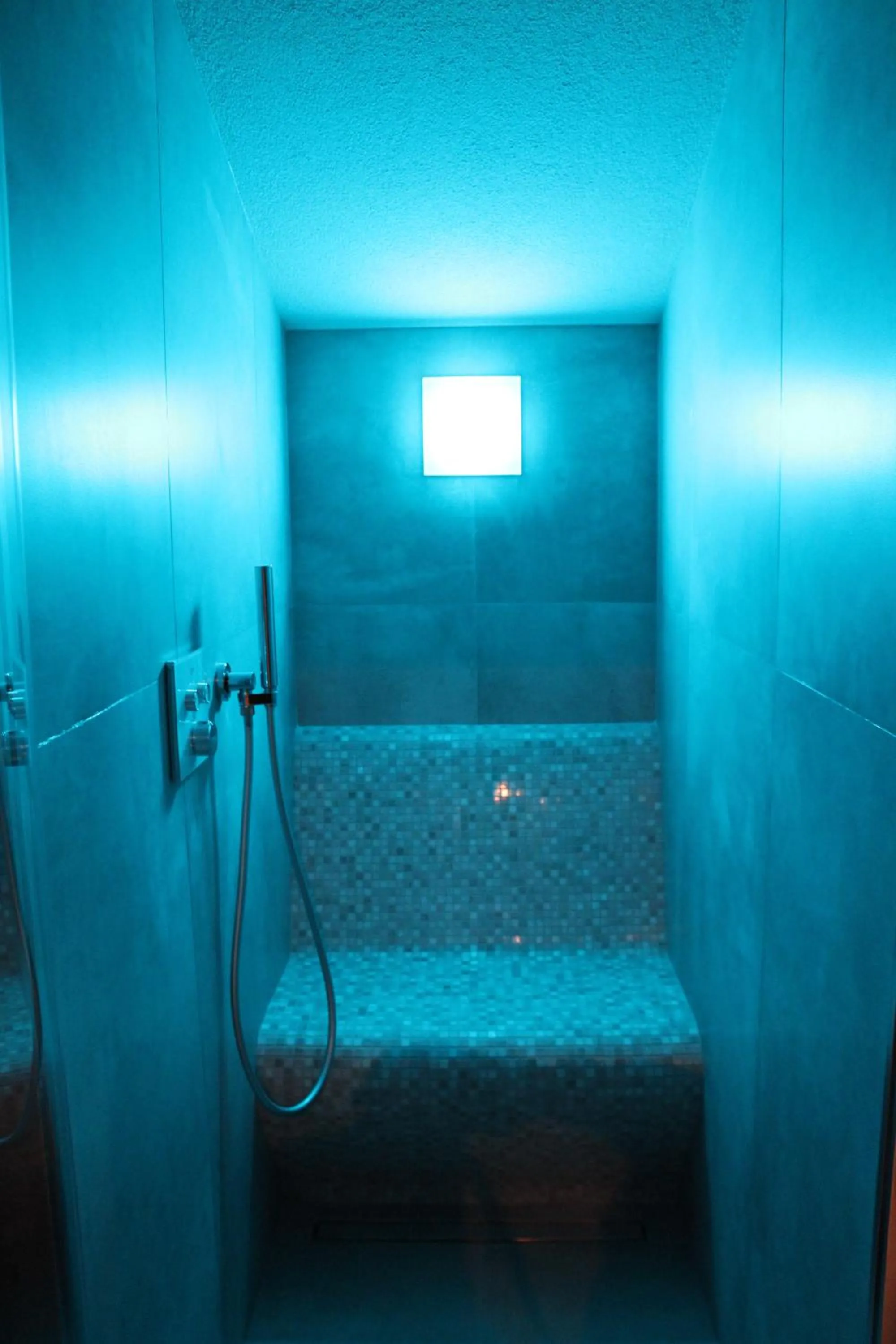 Steam room in Appartamento Suite centro Livigno 4S - Sabrina