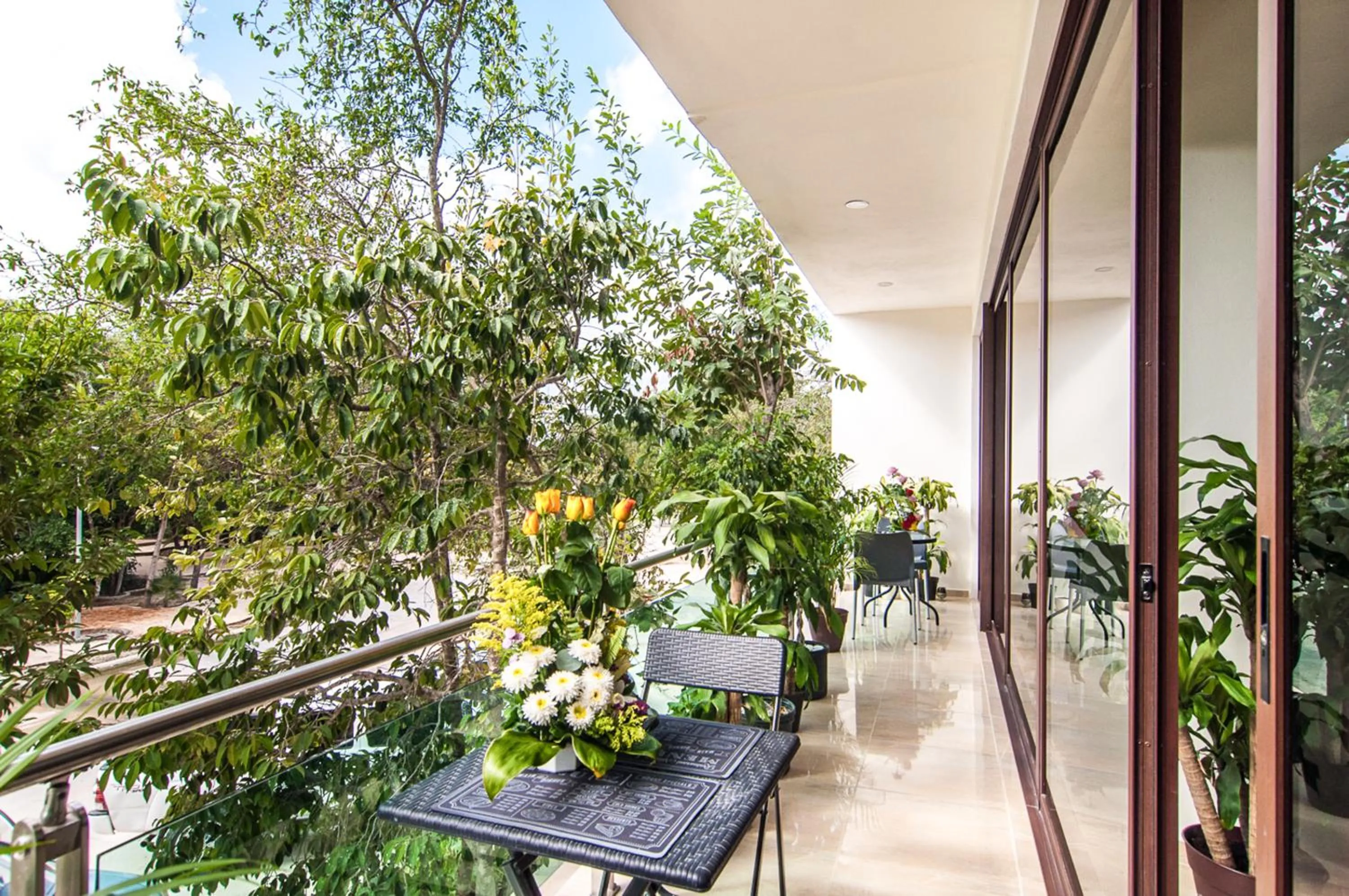 Balcony/Terrace in Cave Apartments Mexico 2