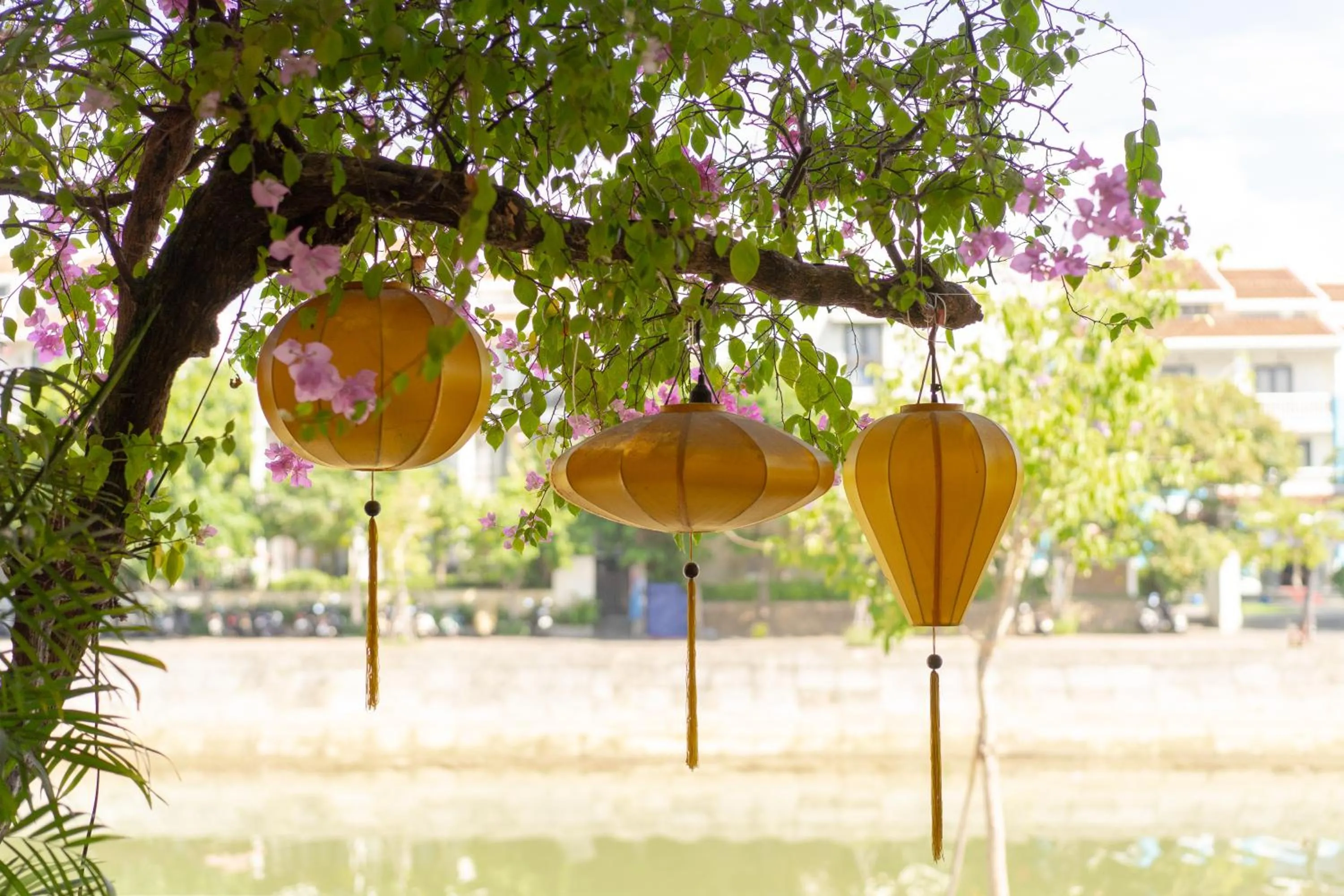 Natural landscape in Virgo Villa Quê Hội An