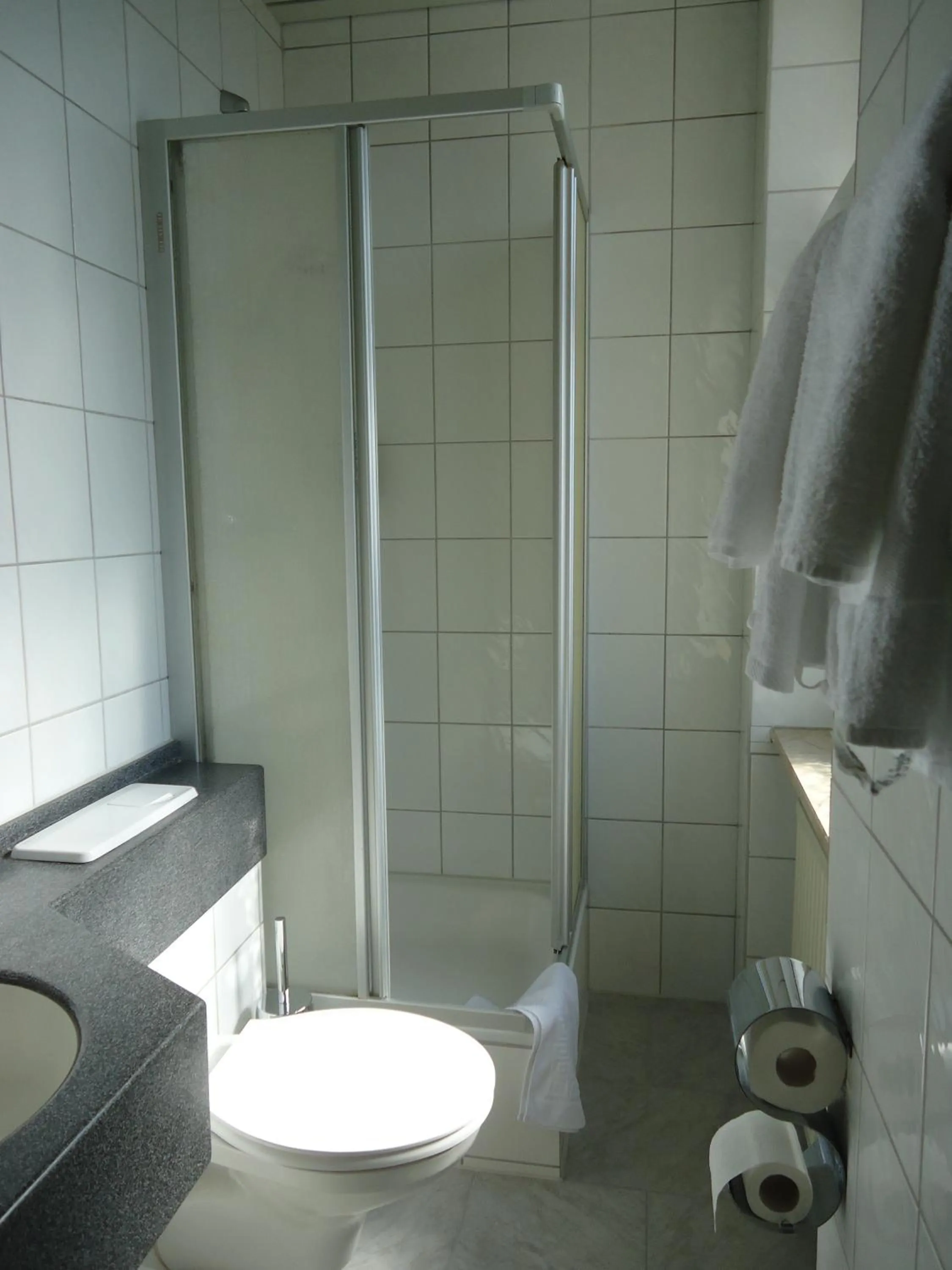 Bathroom in Hotel Schweizer Hof