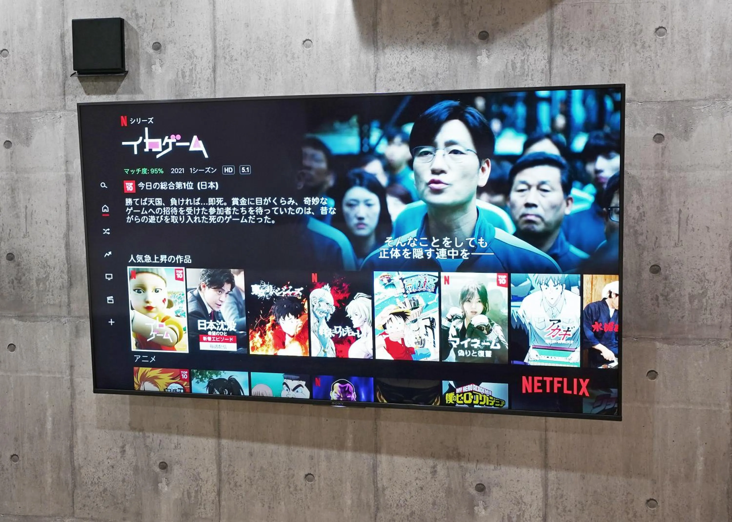 TV and multimedia in Villa Liberte Hakone Gora