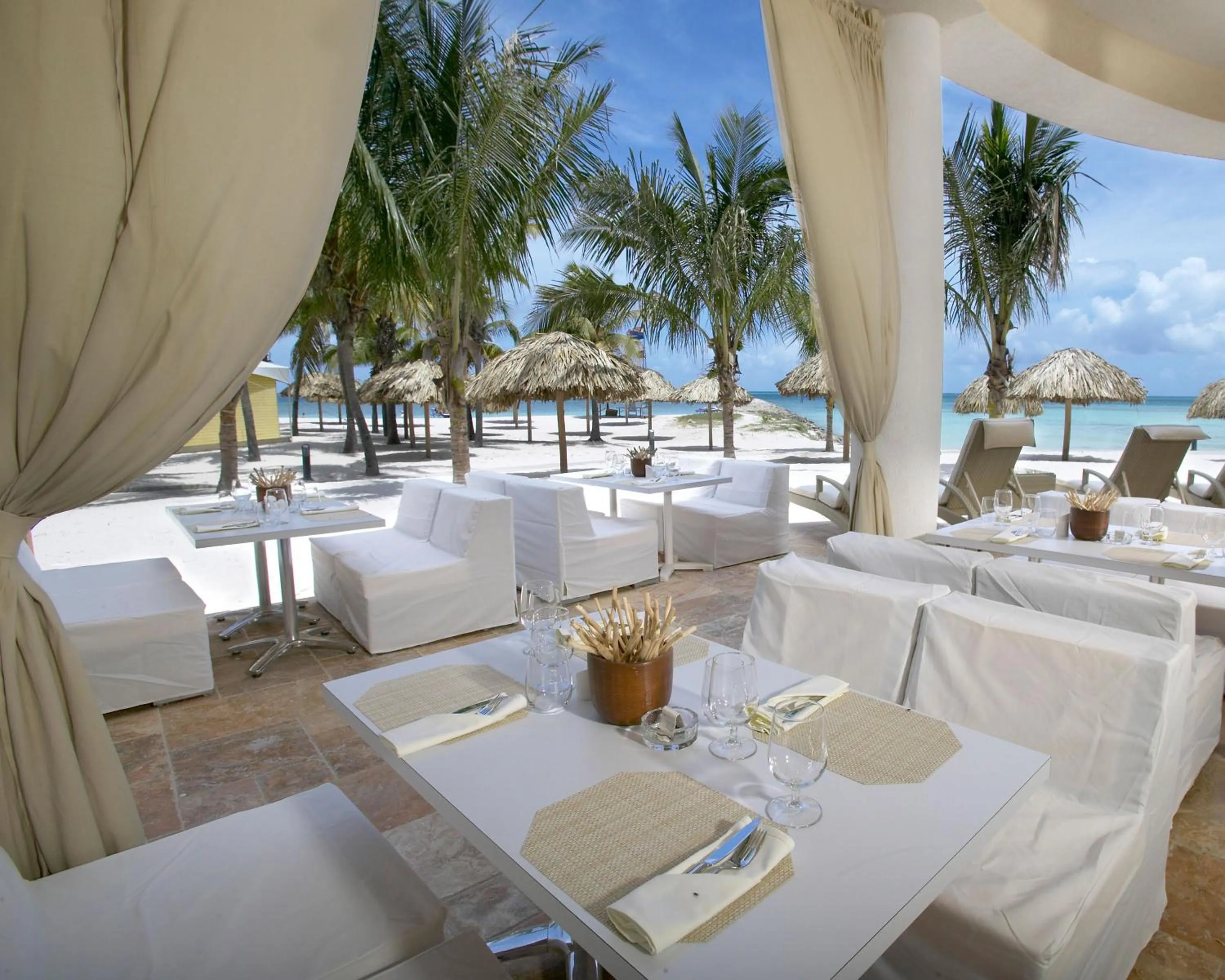 Restaurant/places to eat in Divi Aruba Phoenix Beach Resort