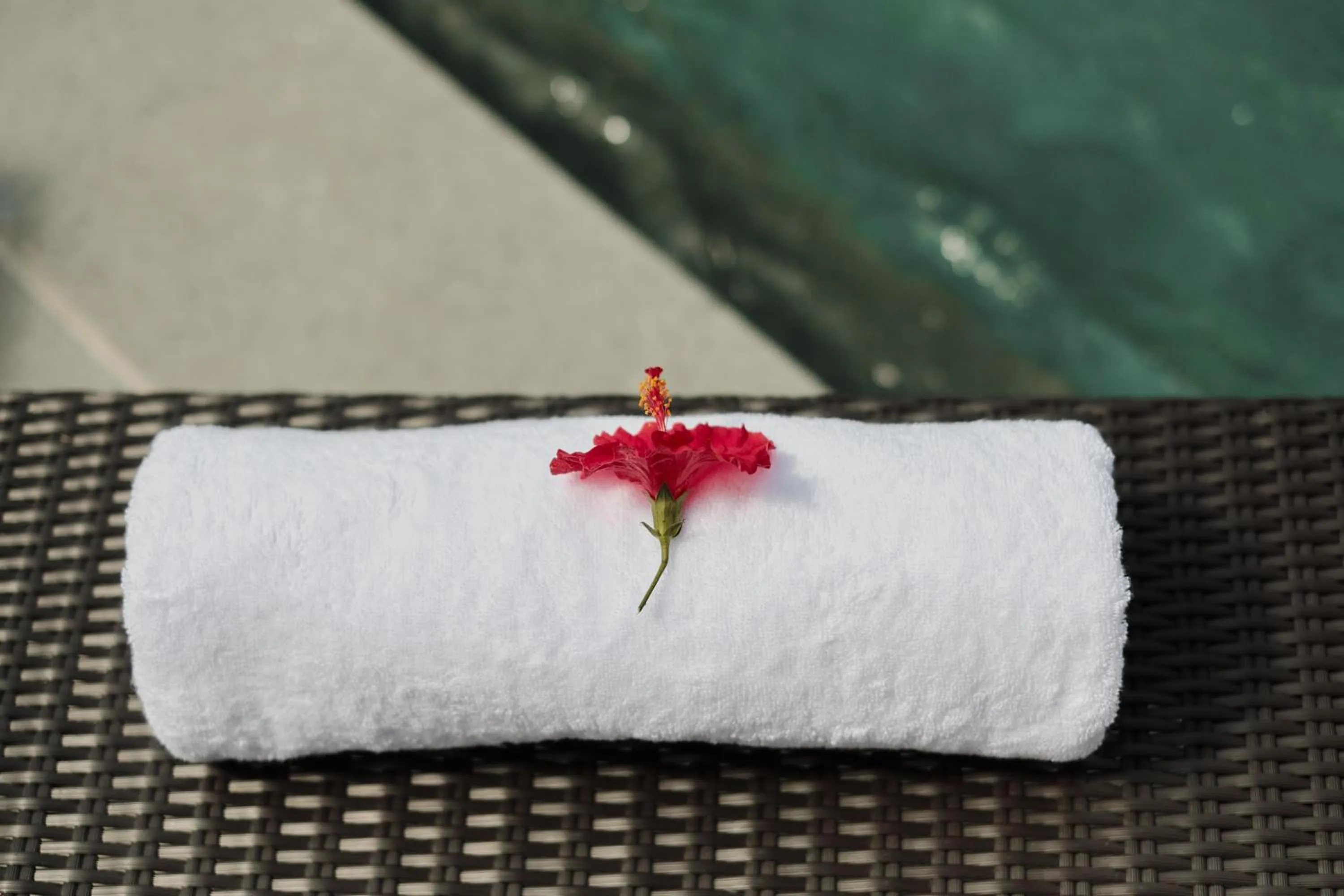 Pool view in Villa Wananta