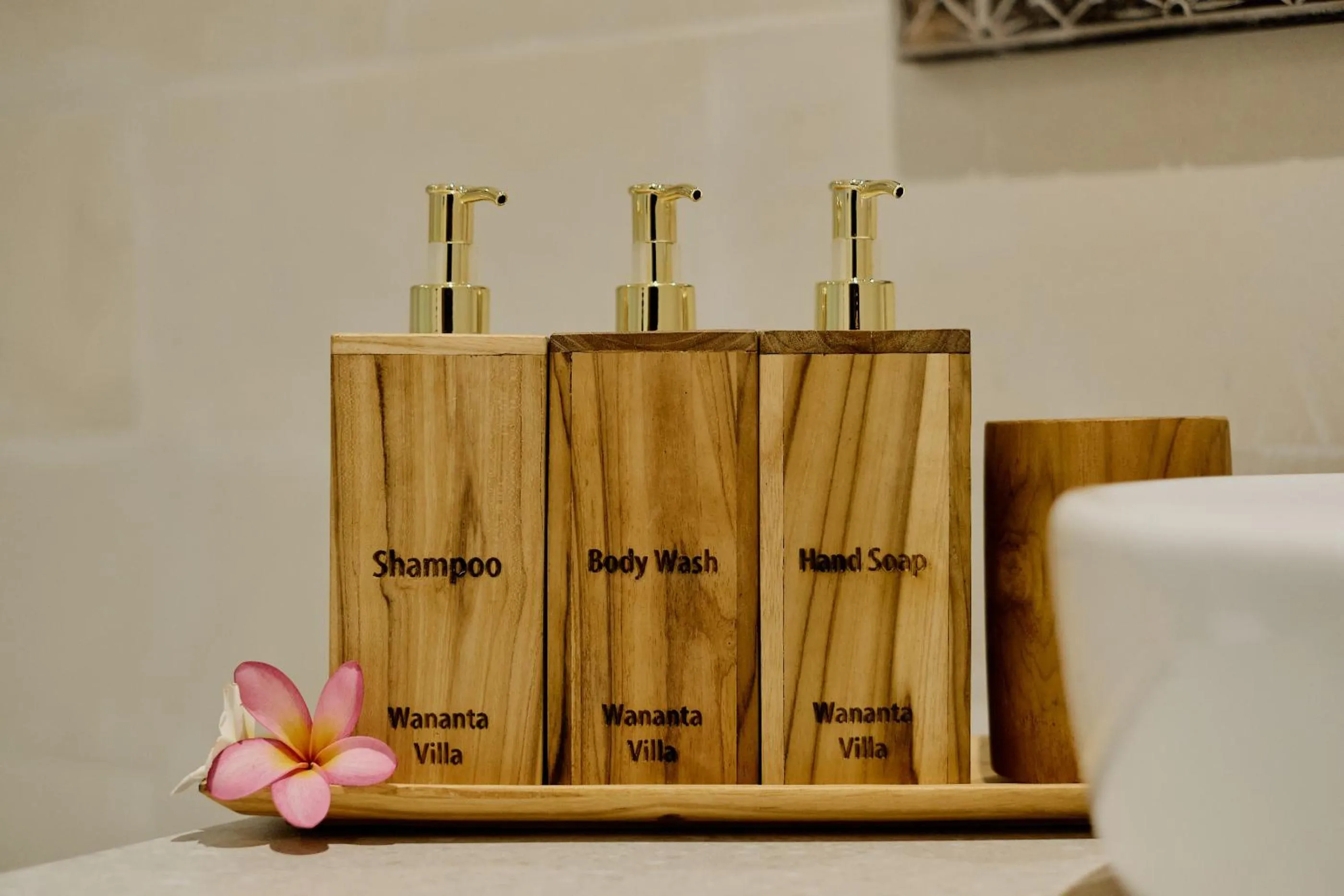 wardrobe in Villa Wananta