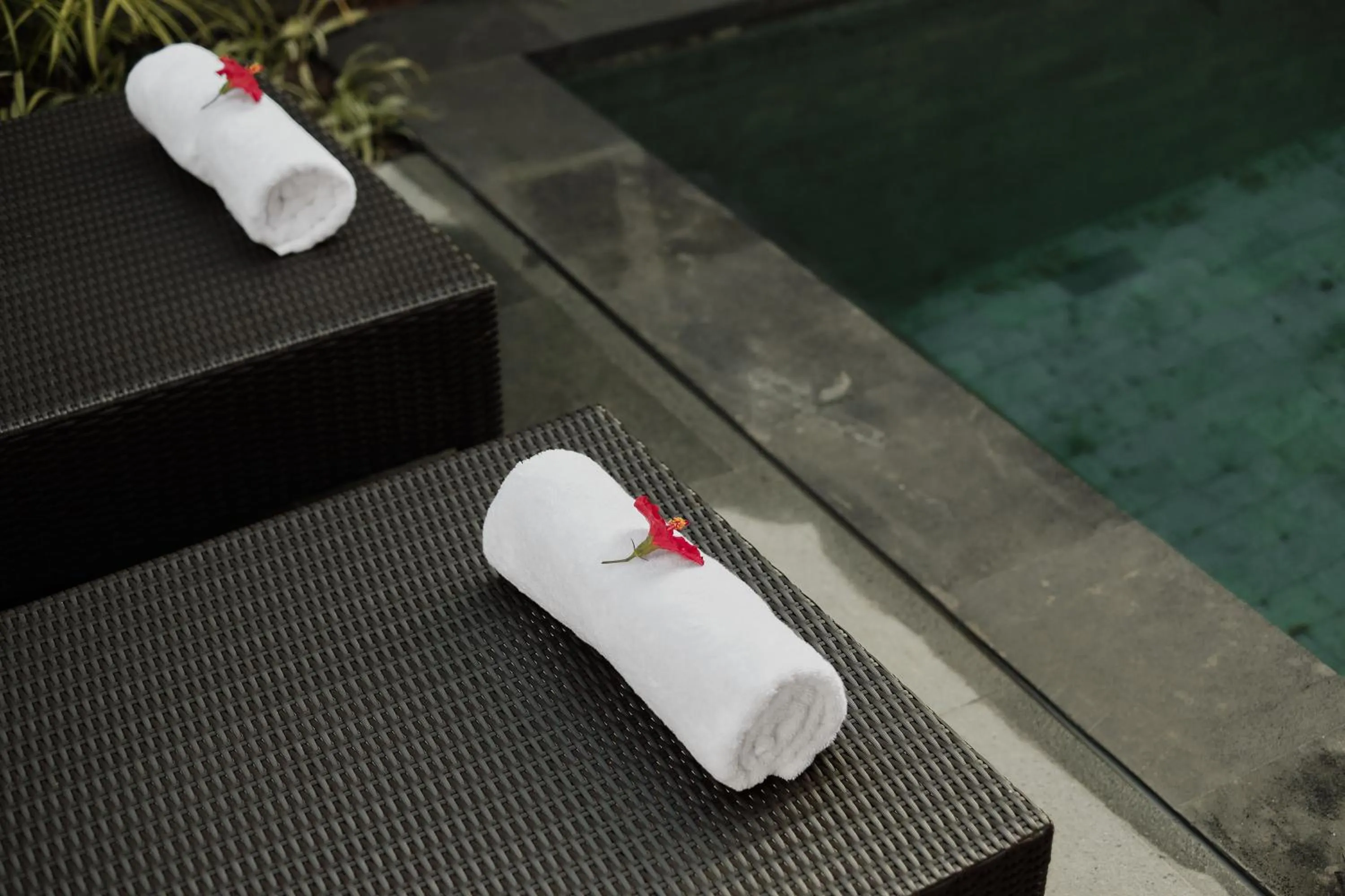 Pool view in Villa Wananta