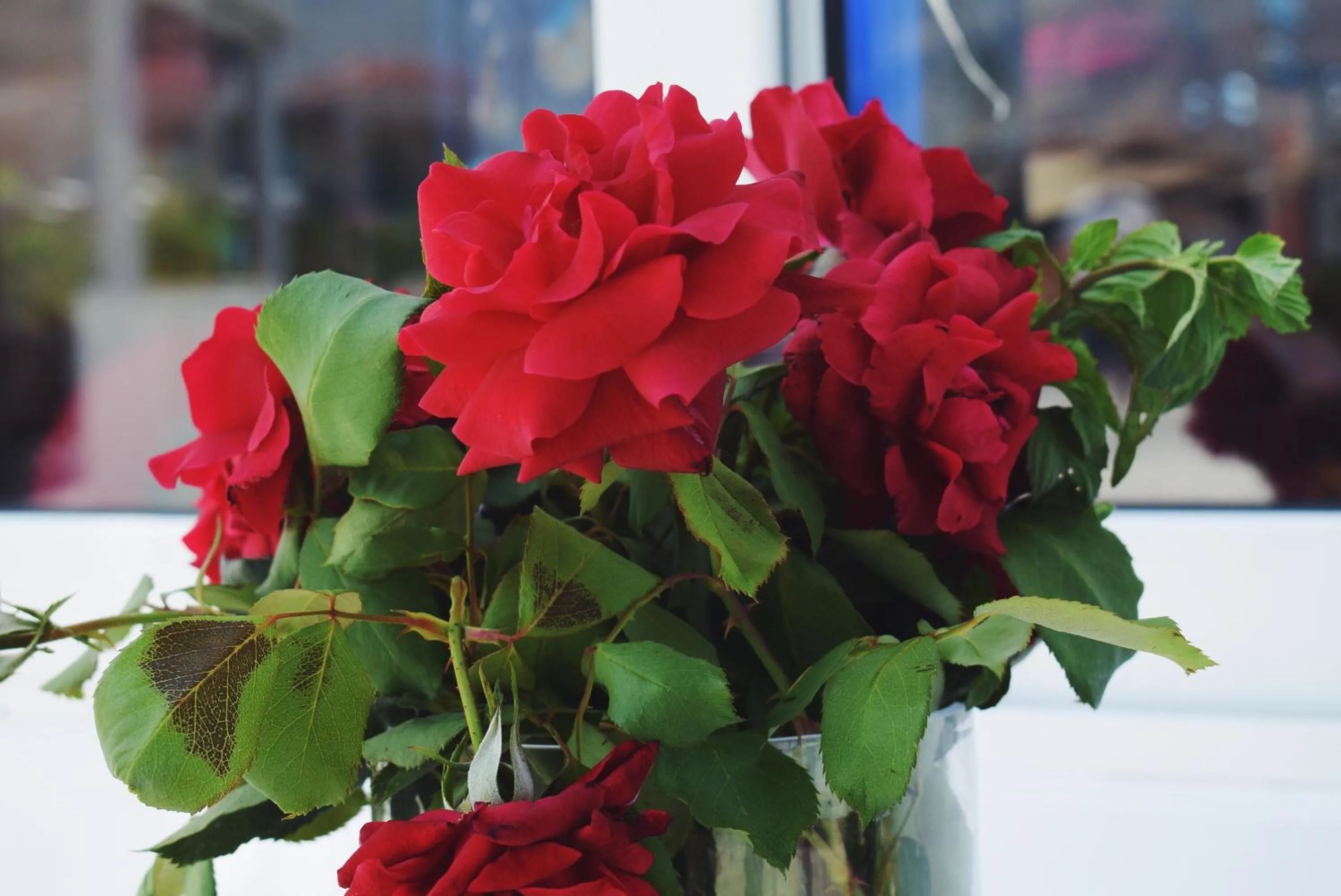 Garden in Sun Beach Lindos