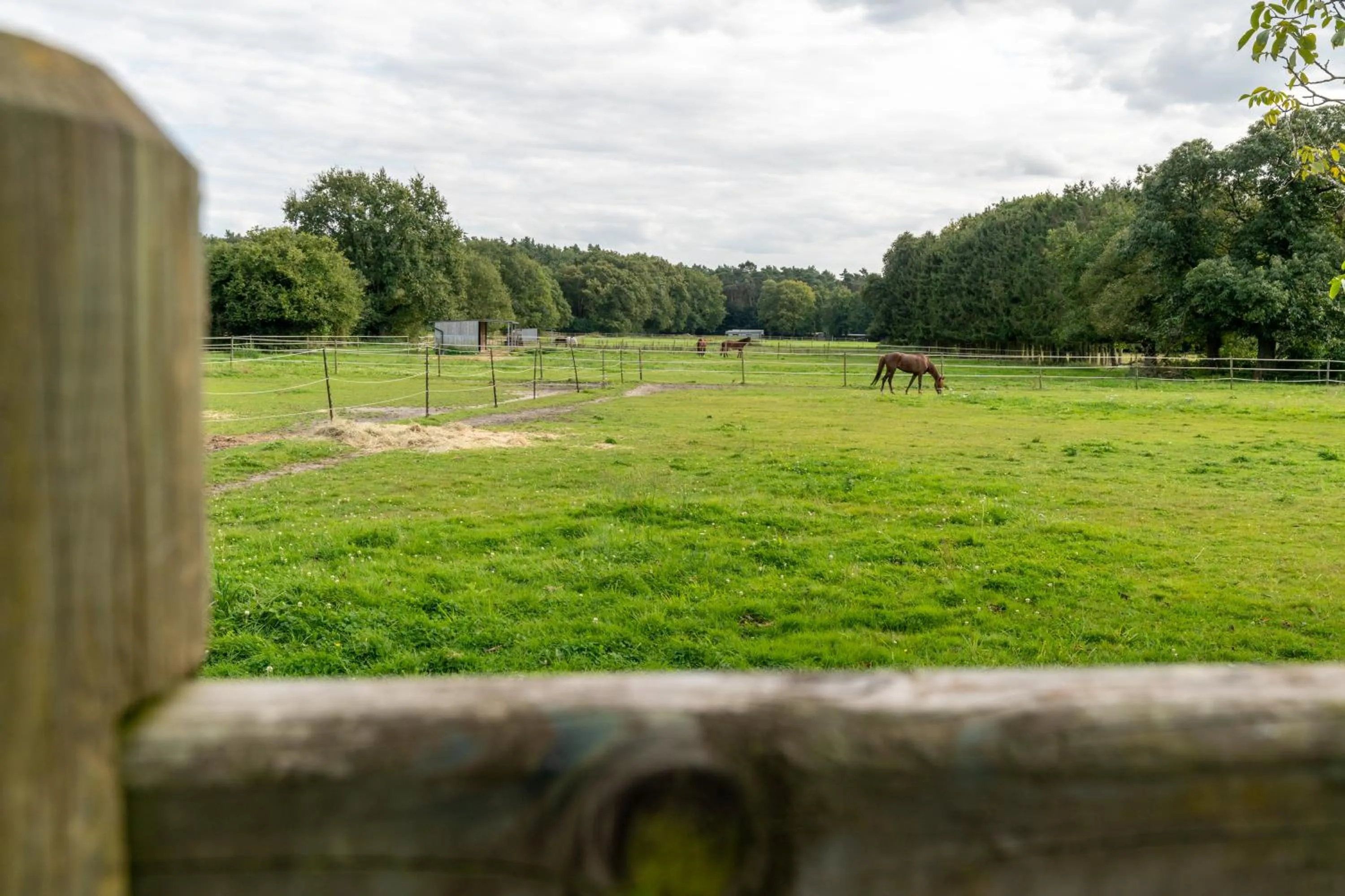 Natural landscape in B&B Punto Vélo