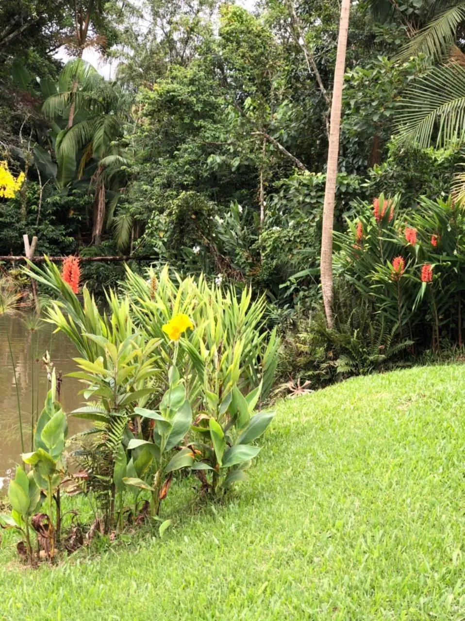 Natural landscape in Pousada Village dos Canyons