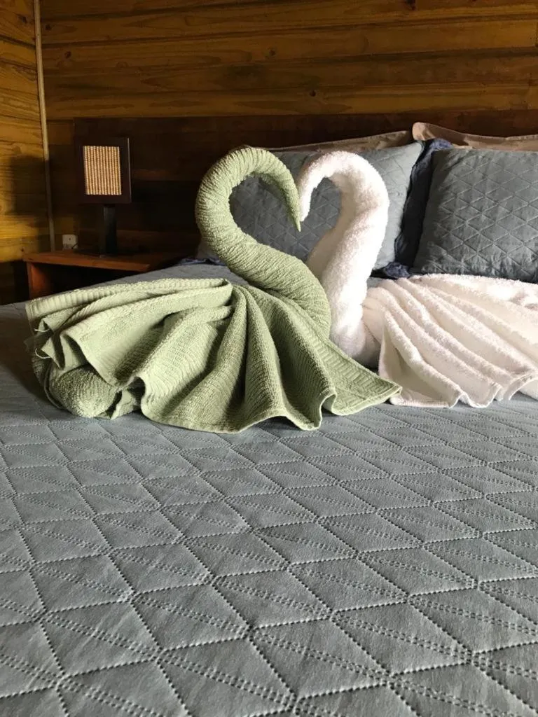 Decorative detail, Bed in Pousada Village dos Canyons