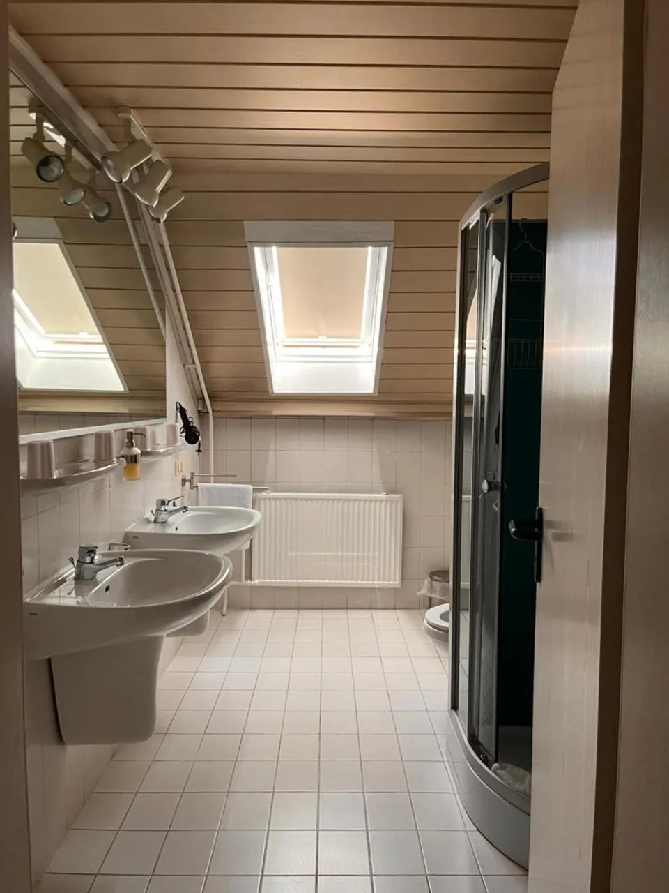 Shower in Hotel Elisenhof