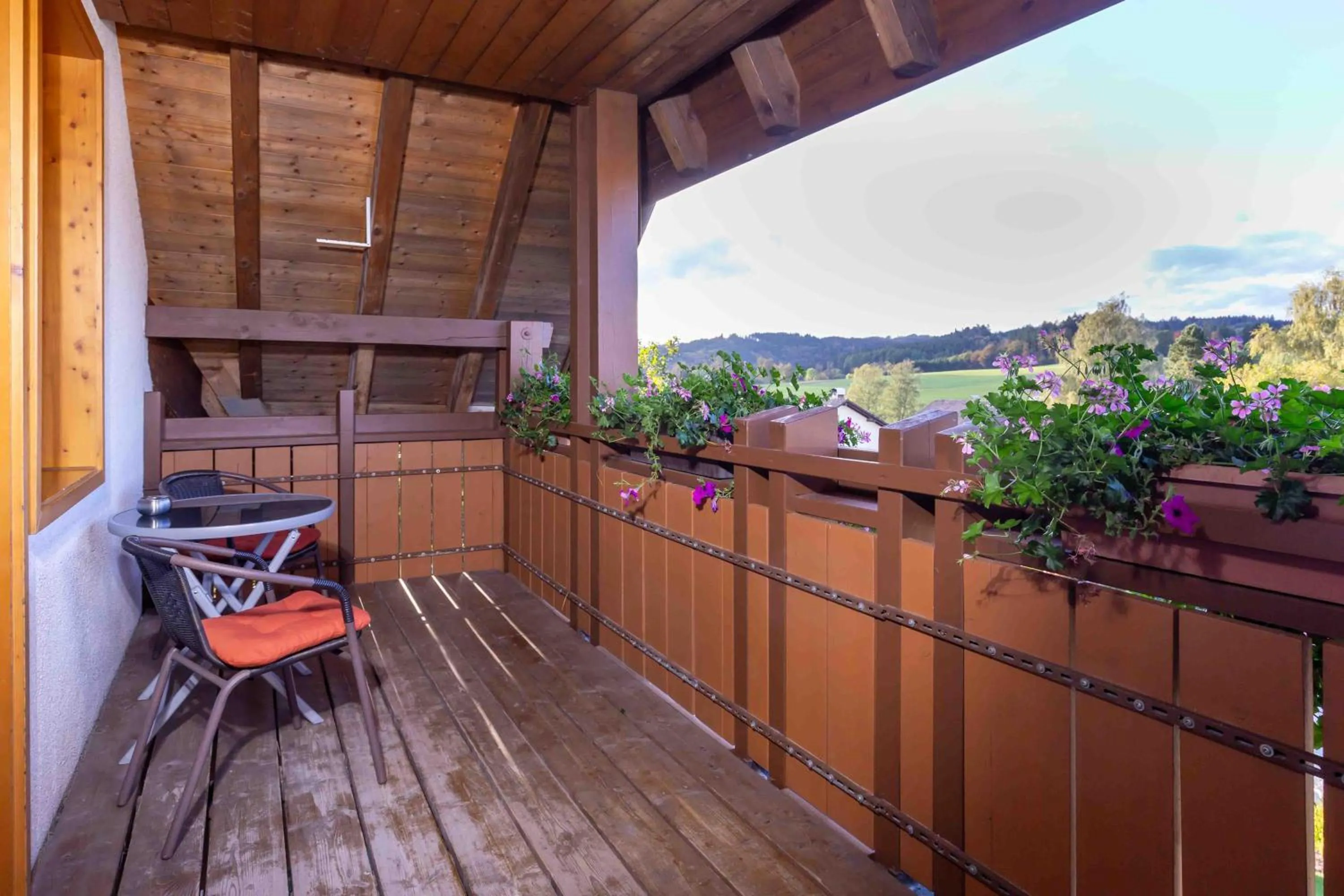 Balcony/Terrace in Wellnesshotel Sonnenhof & Sonnhalde