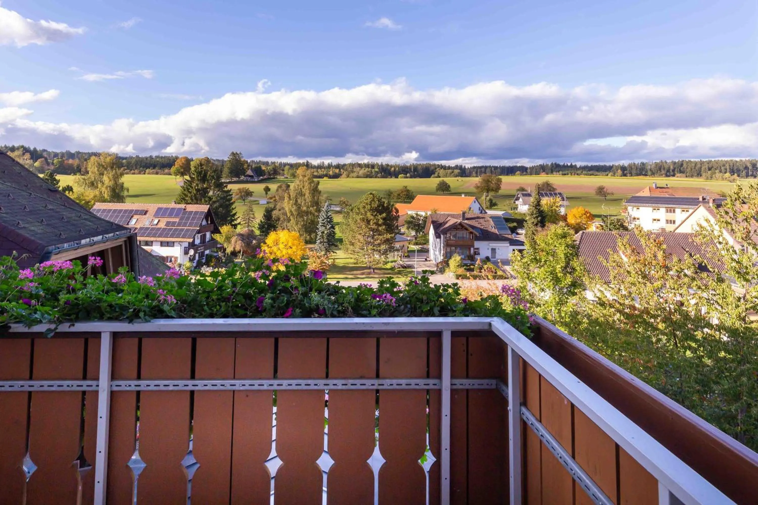 View (from property/room) in Wellnesshotel Sonnenhof & Sonnhalde