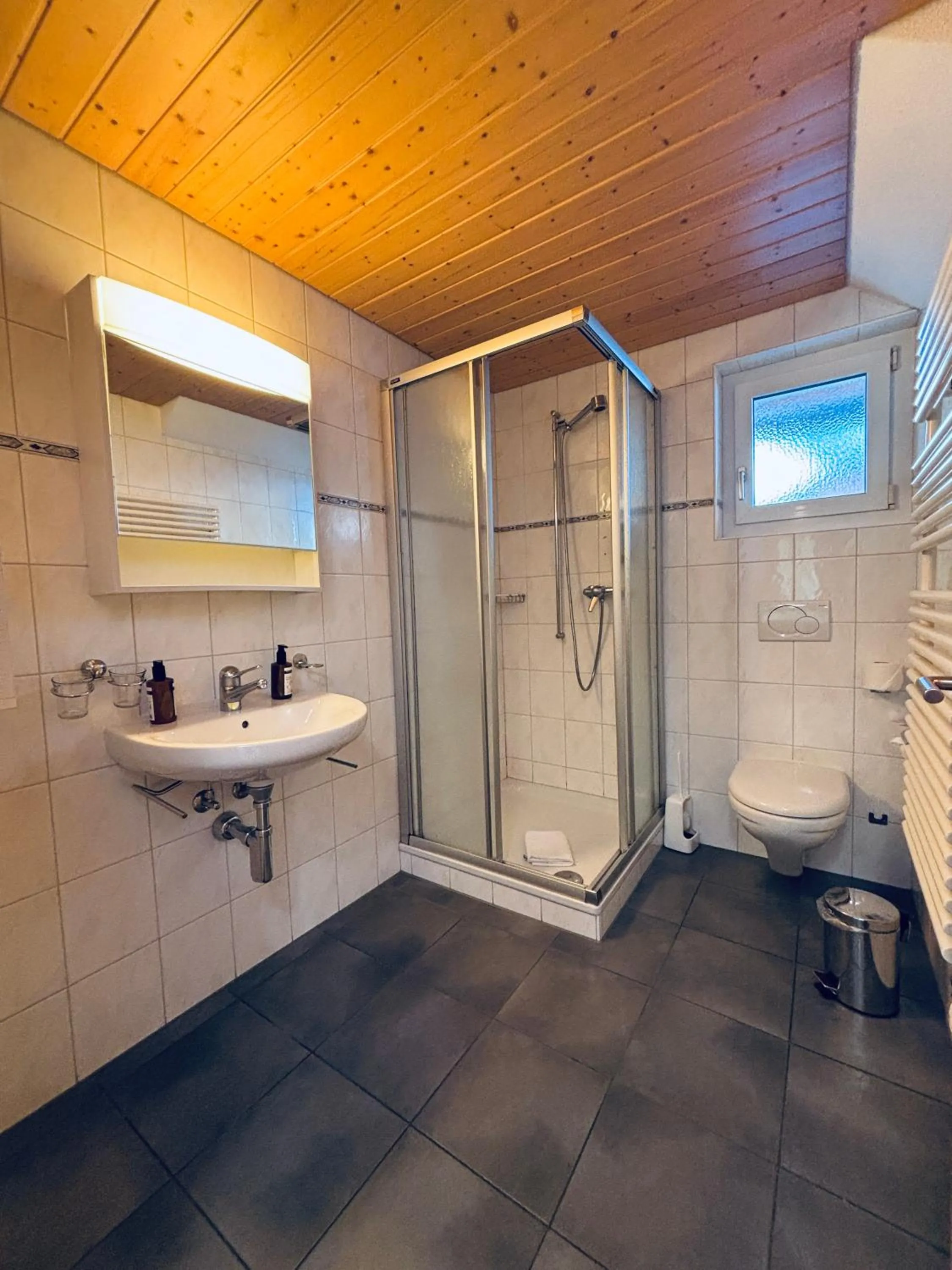 Shower in Typically Swiss Hotel Ermitage