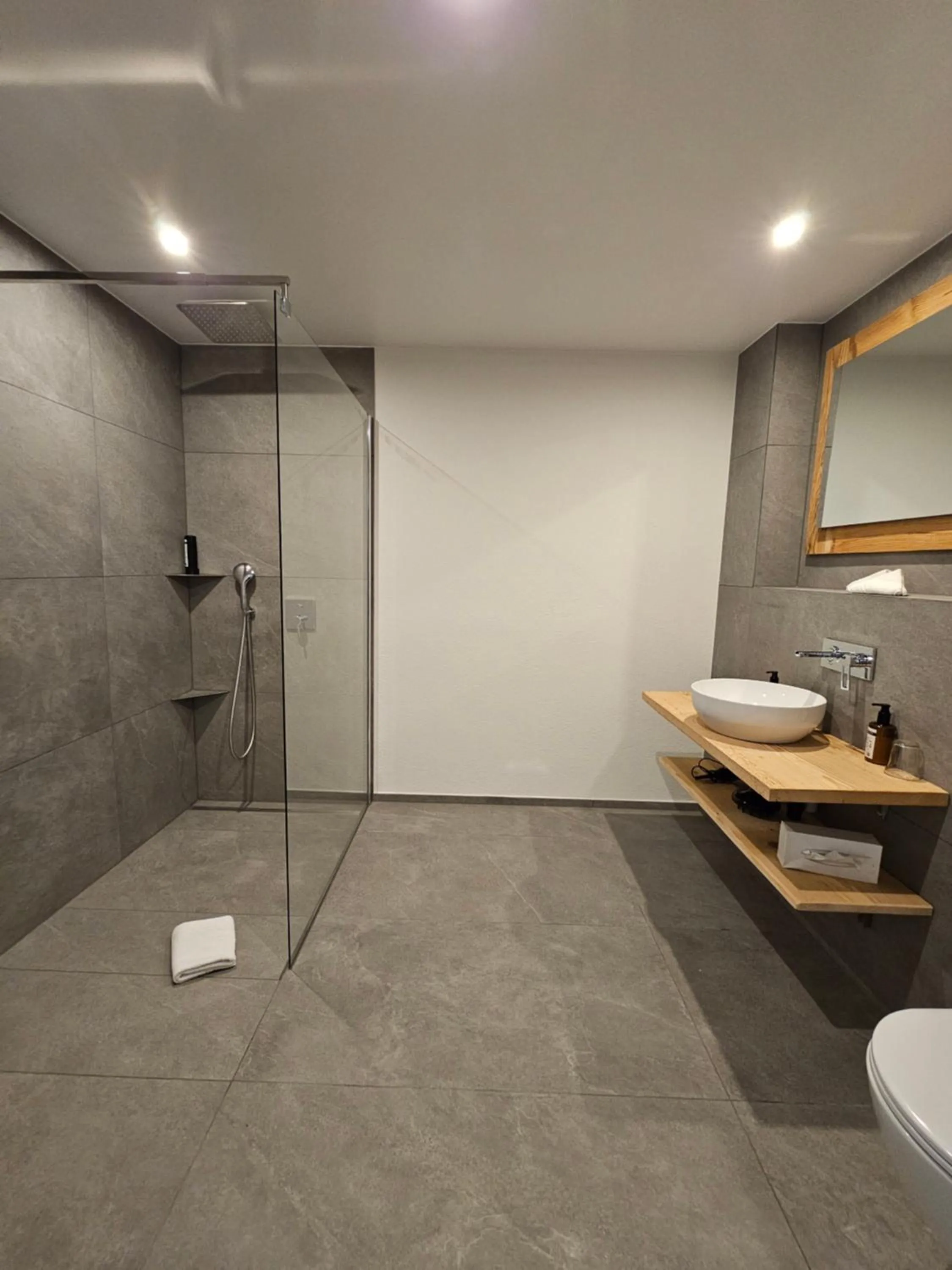 Shower in Typically Swiss Hotel Ermitage