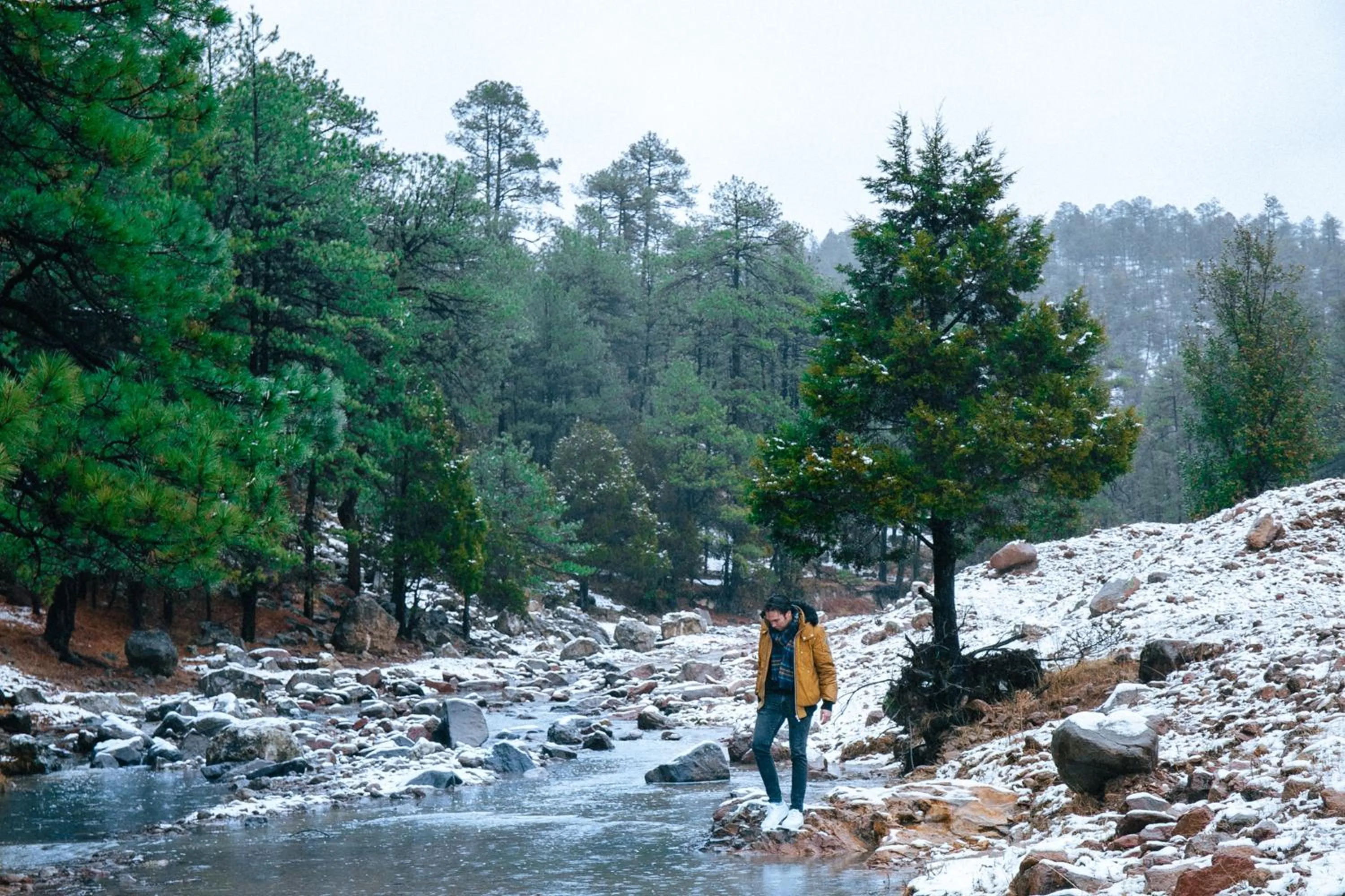 Nearby landmark in Hacienda Don Armando Boutique & Spa