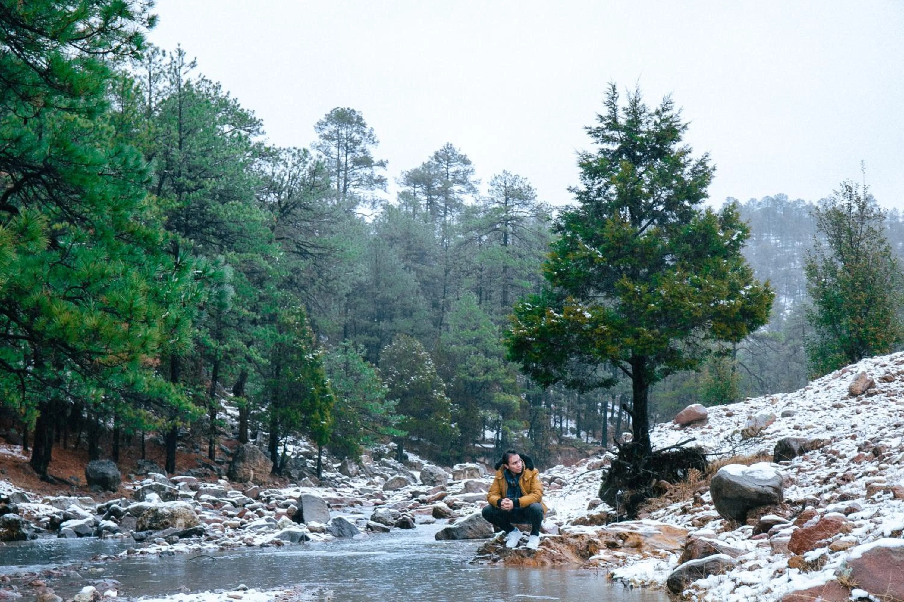 Day in Hacienda Don Armando Boutique & Spa