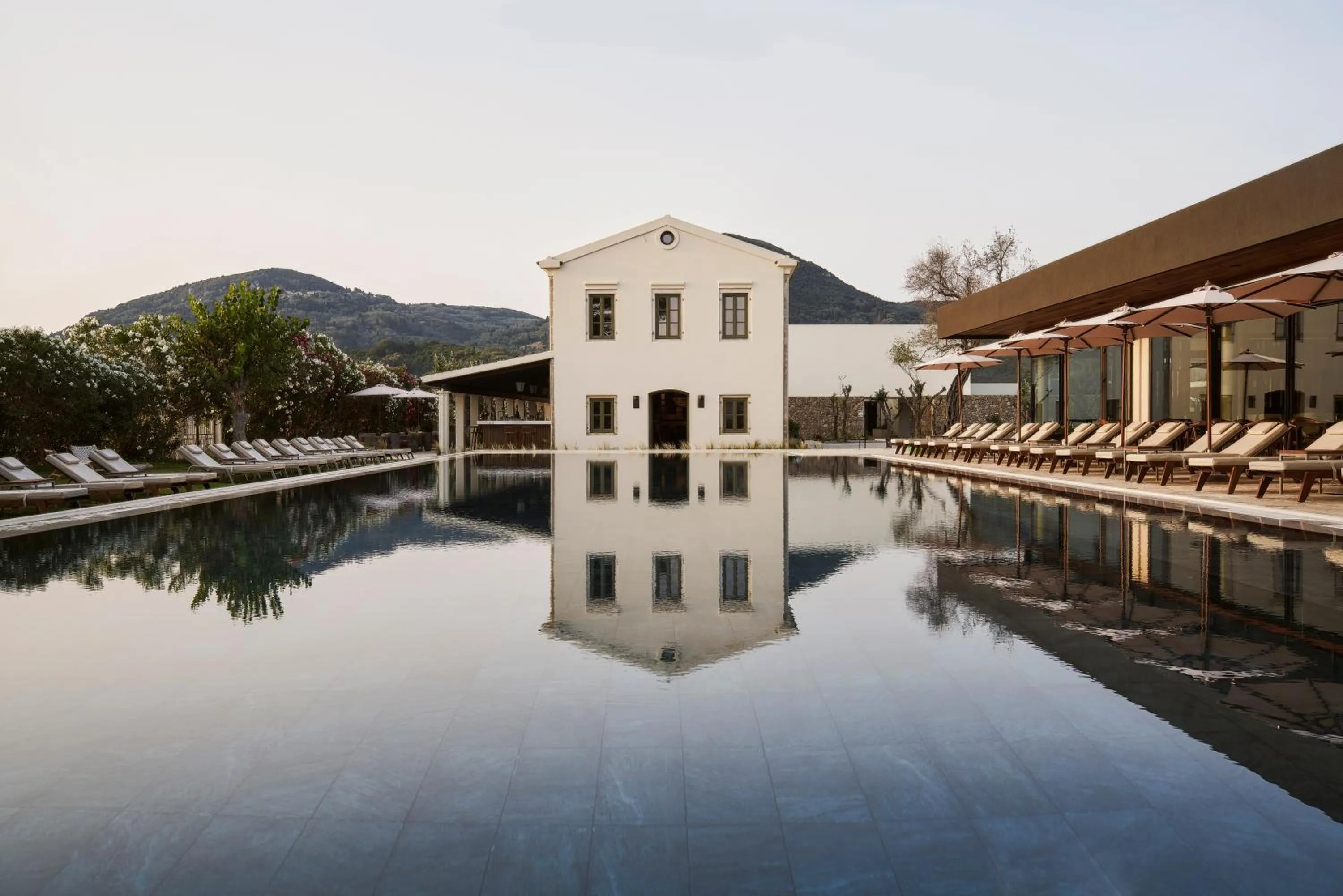 Swimming pool in The Olivar Suites