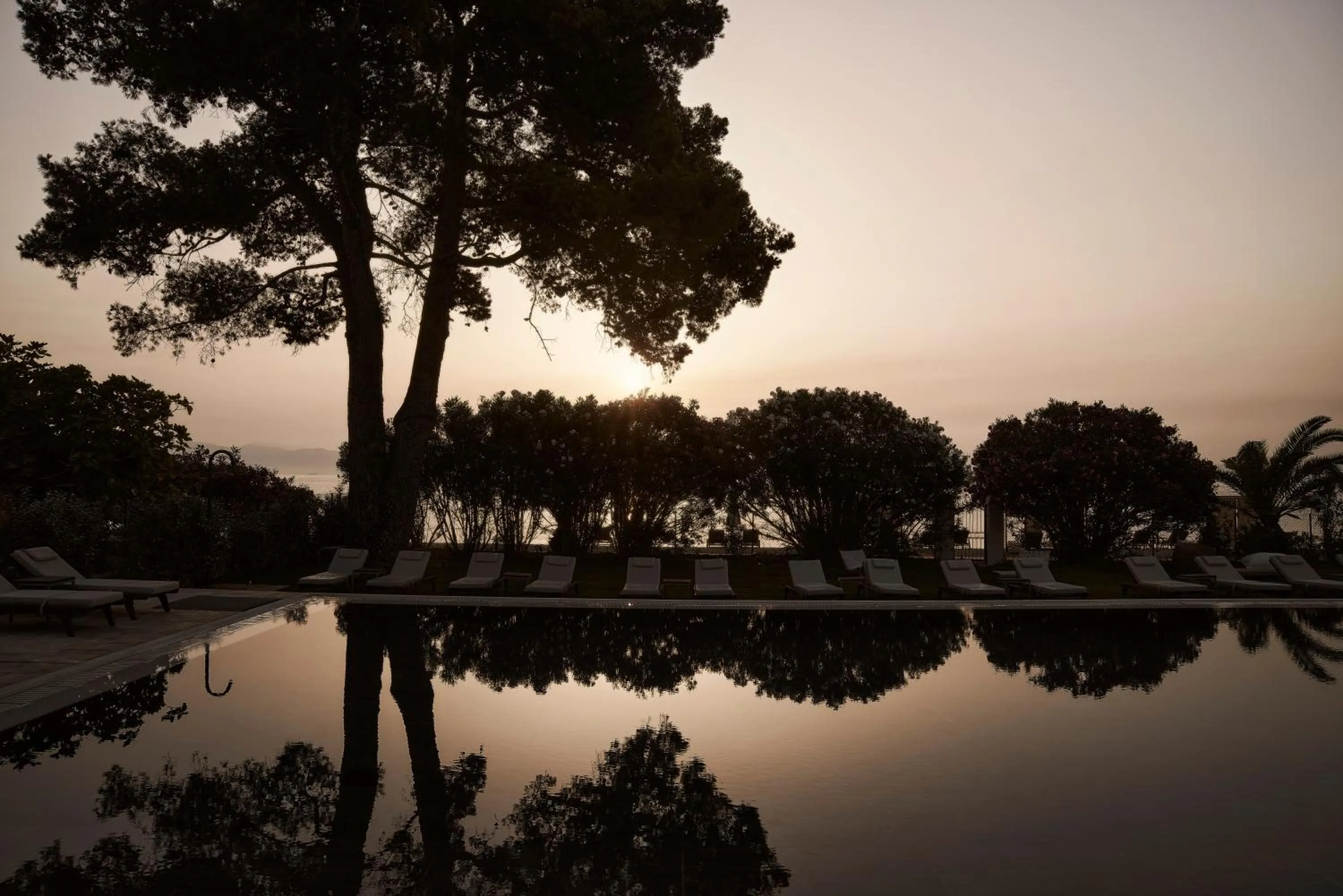 Swimming pool in The Olivar Suites