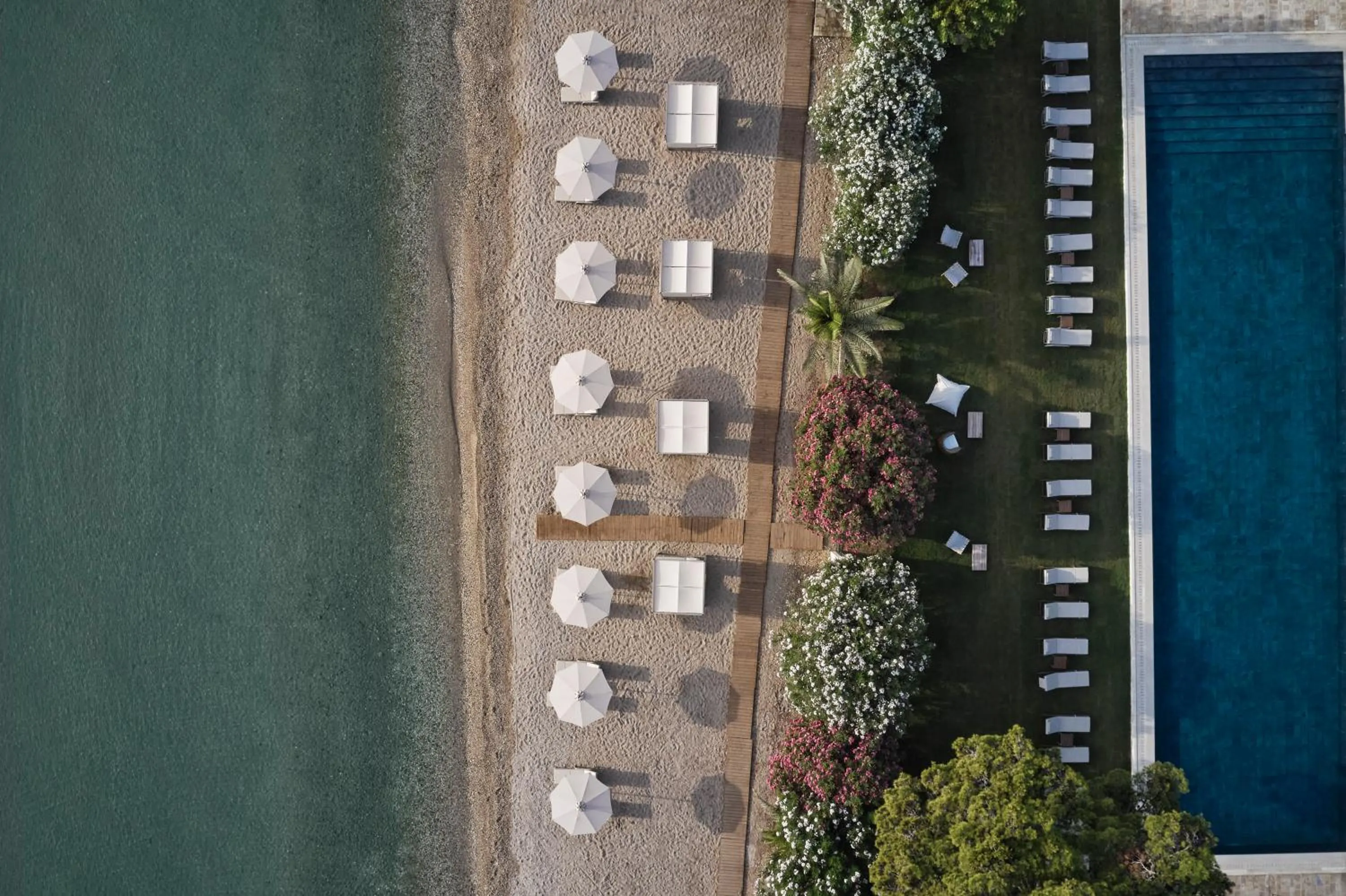 Bird's eye view in The Olivar Suites