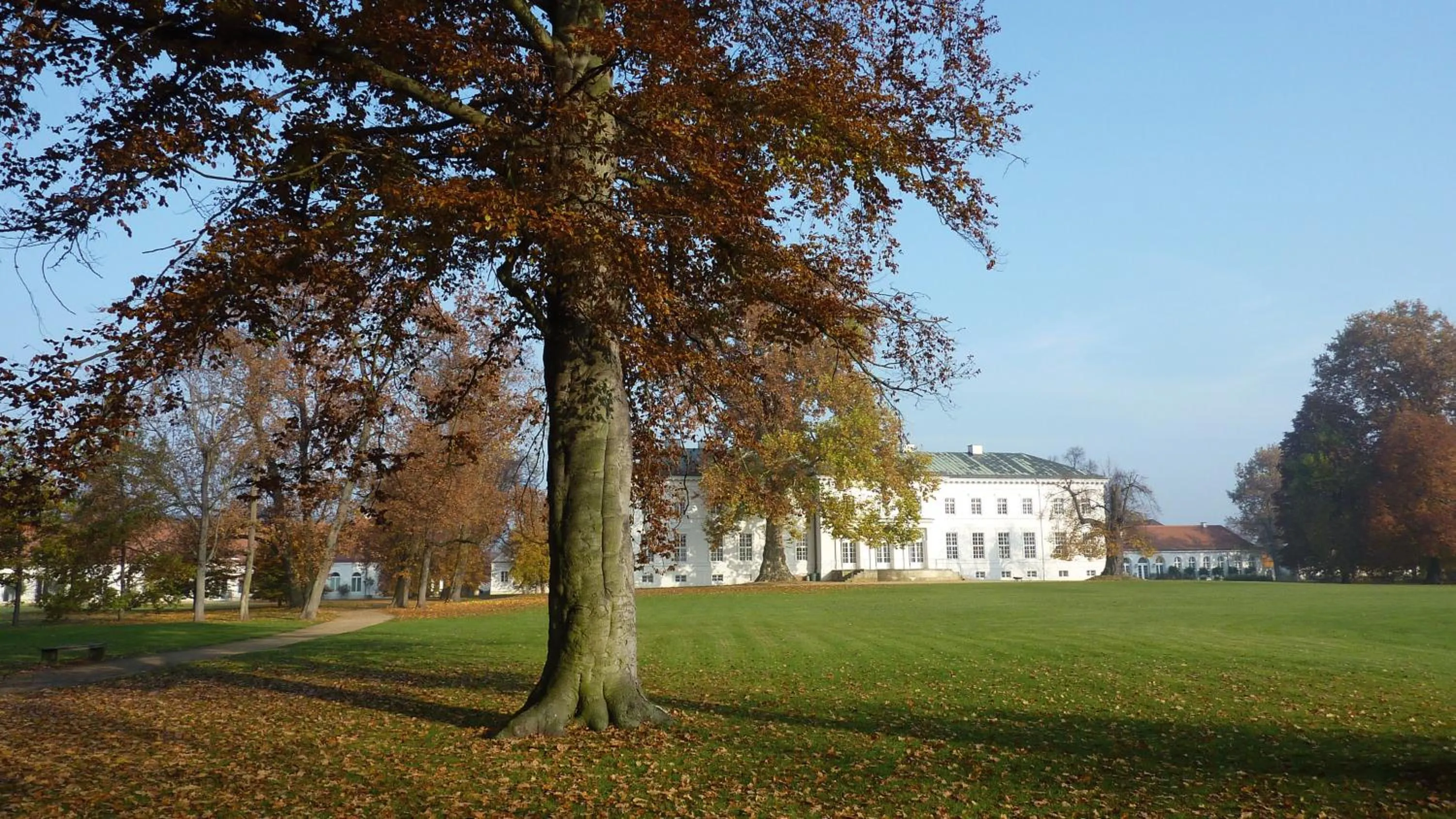 Garden in Hotel Schloss Neuhardenberg