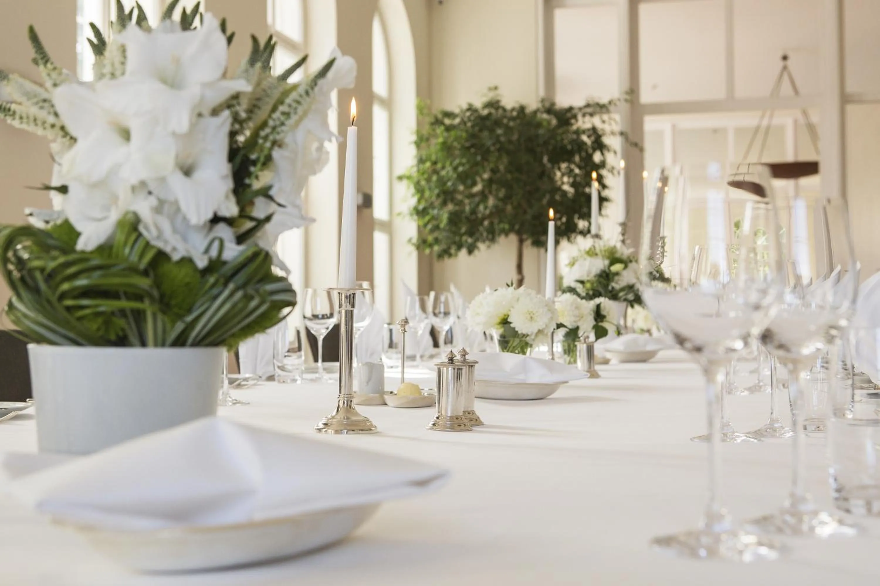 Banquet/Function facilities in Hotel Schloss Neuhardenberg