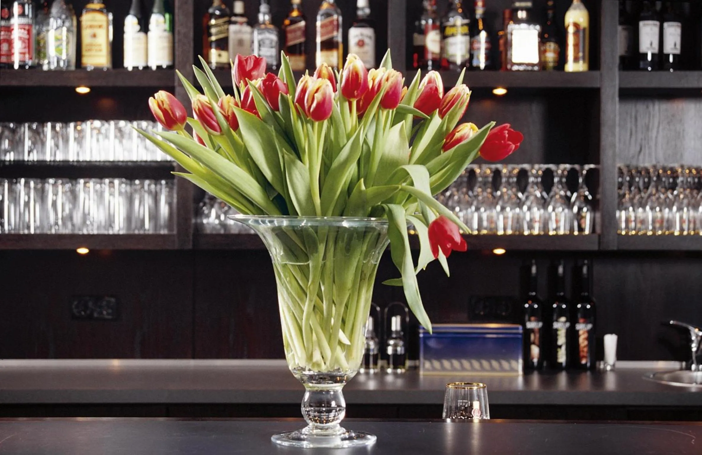 Restaurant/places to eat in Hotel Schloss Neuhardenberg