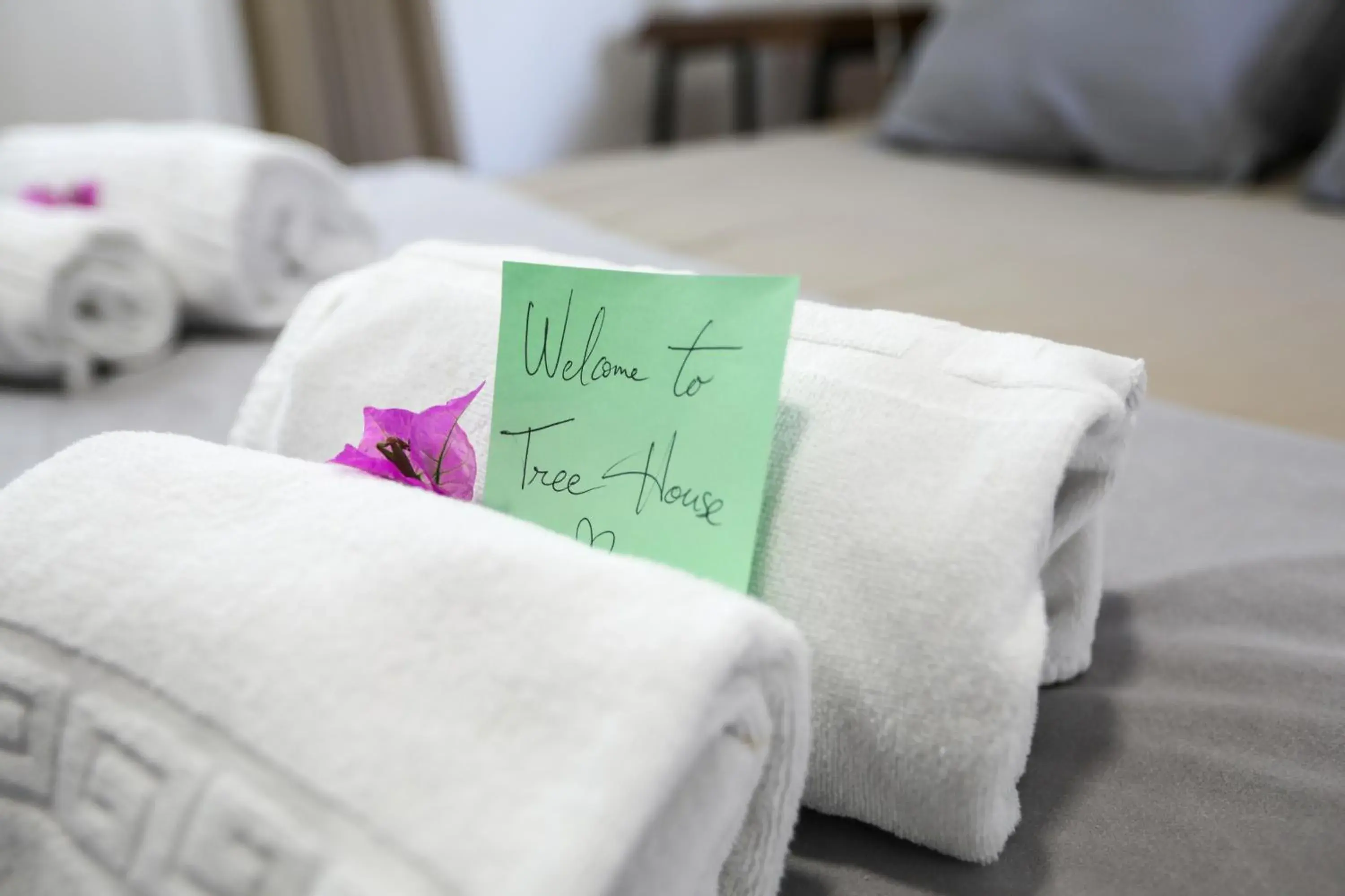 Double Room with Private Bathroom in The Tree House Tenerife Double Room with Private Bathroom in The Tree House Tenerife