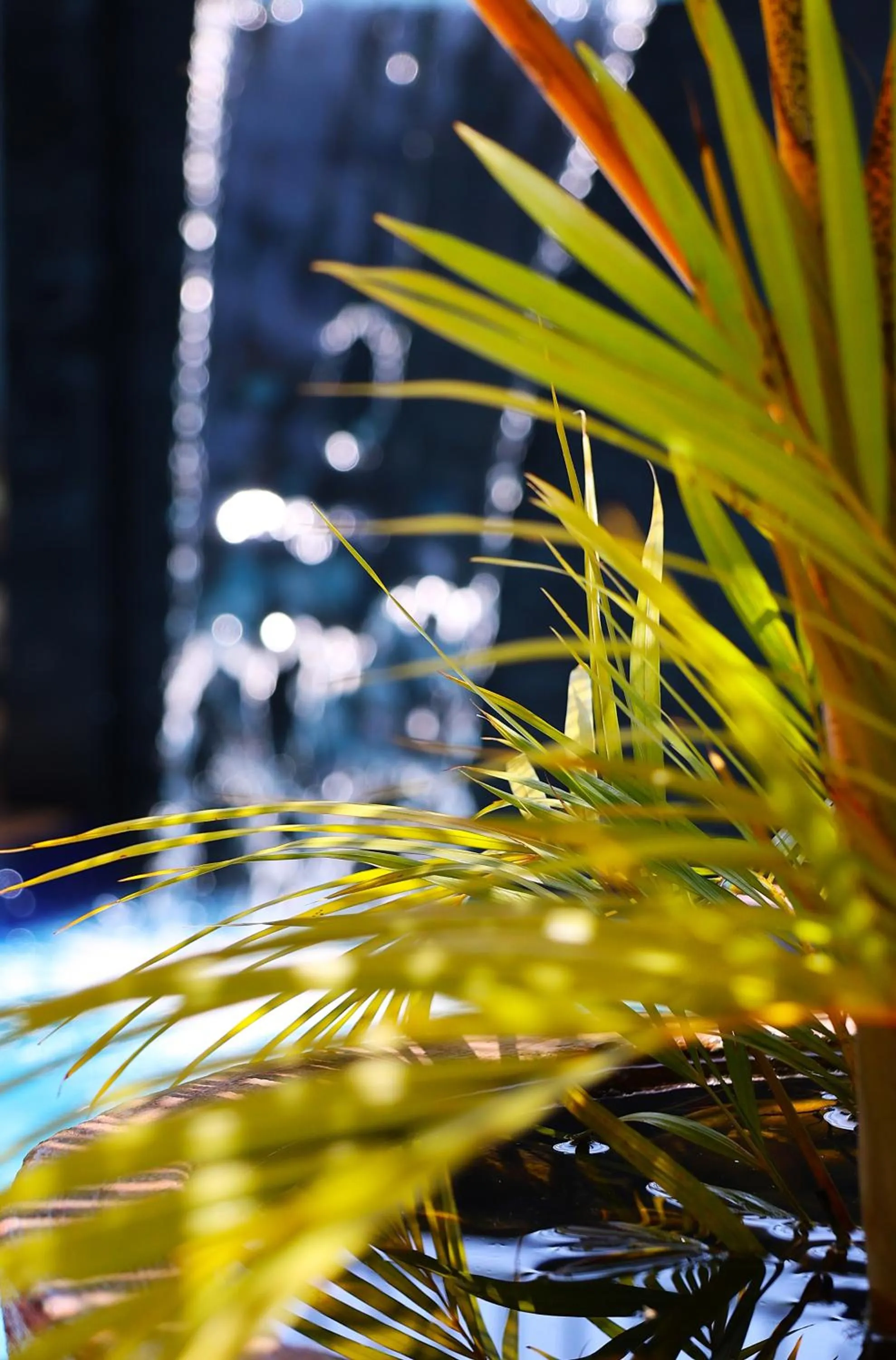 Swimming pool in ENTEBBE-STAY Aparthotel - KITOORO