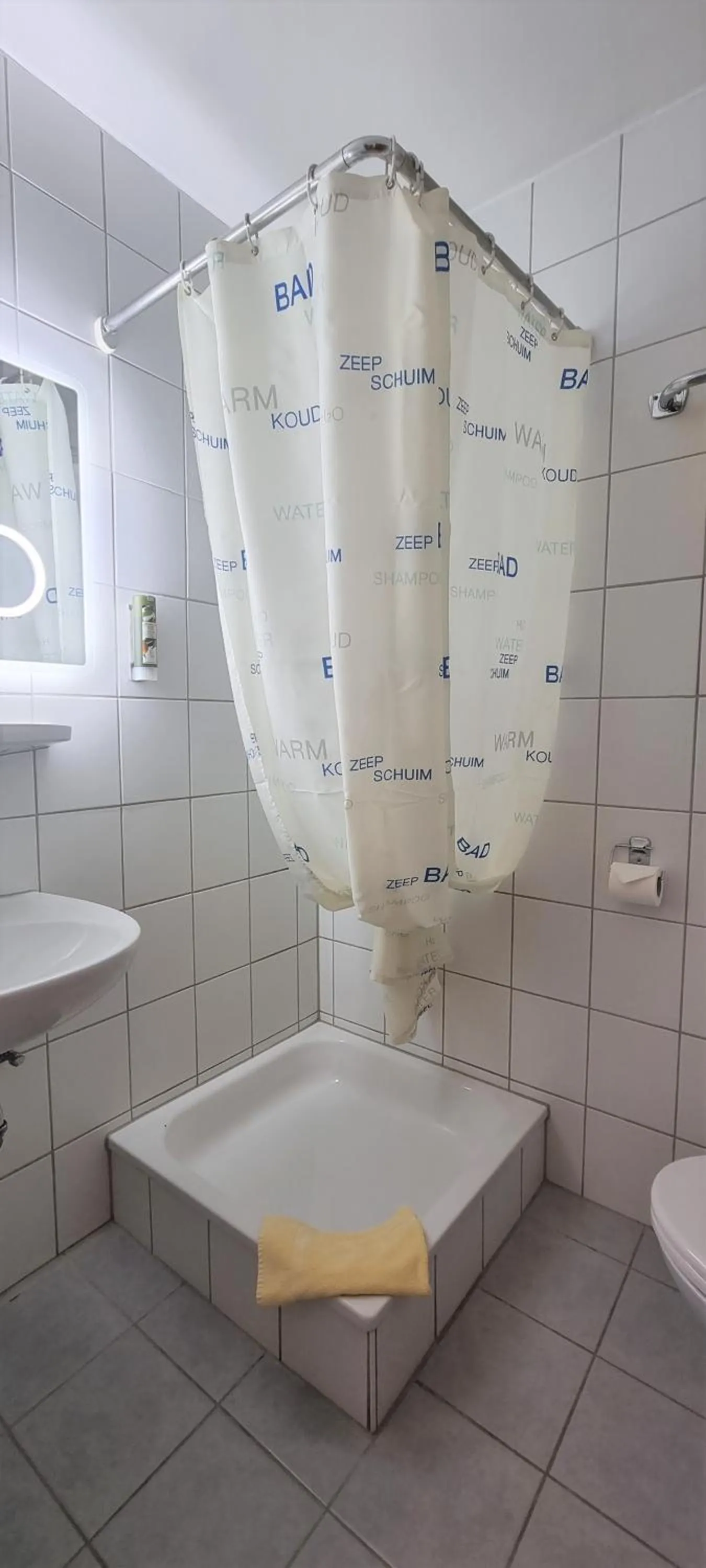 Bathroom in Hotel Seehalde