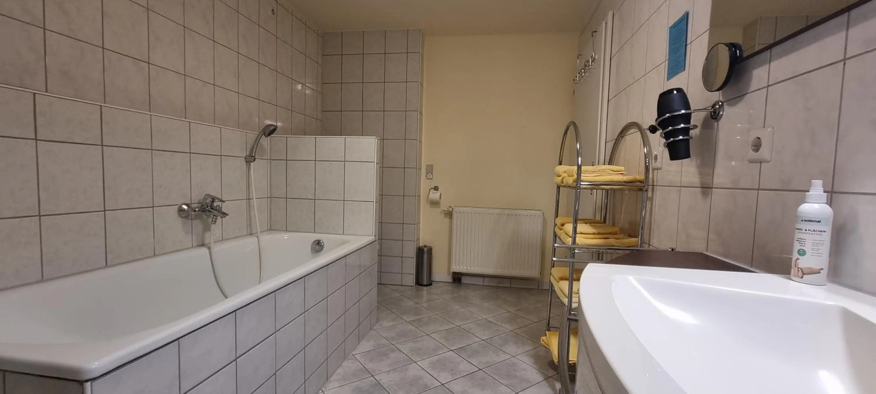 Bathroom in Hotel Seehalde