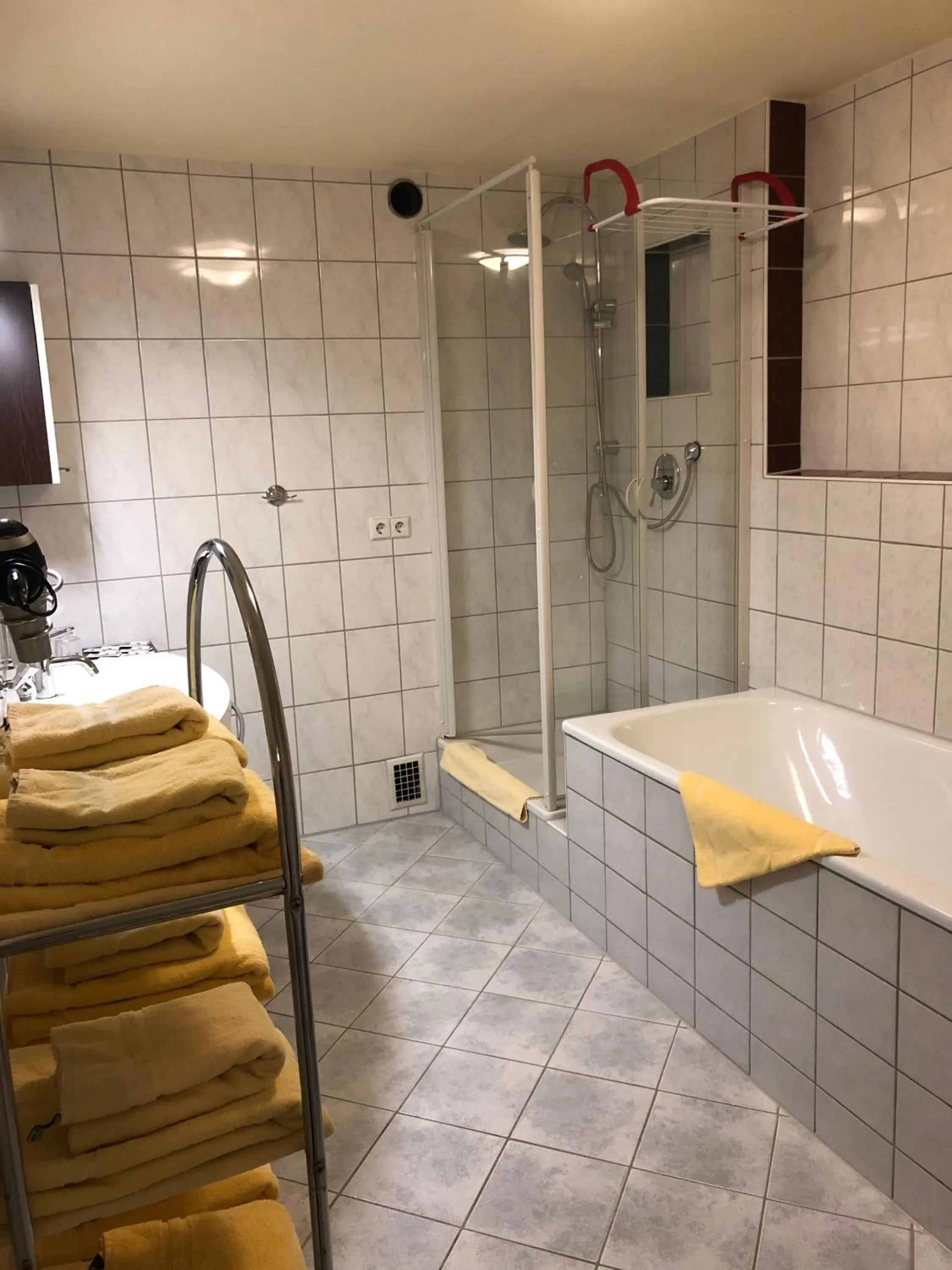 Bathroom in Hotel Seehalde
