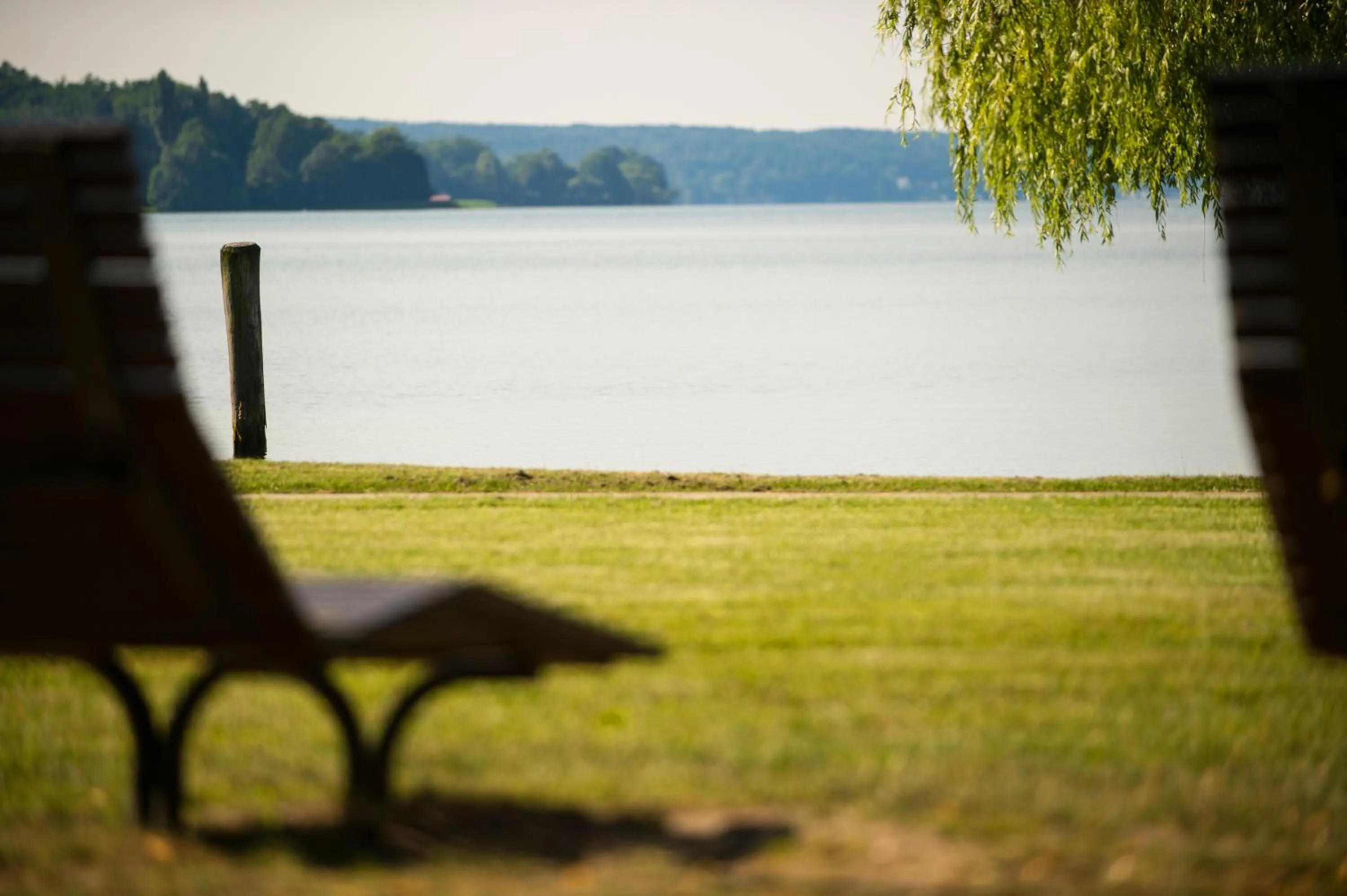 Natural landscape in Hotel Esplanade Resort & Spa - Adults Only