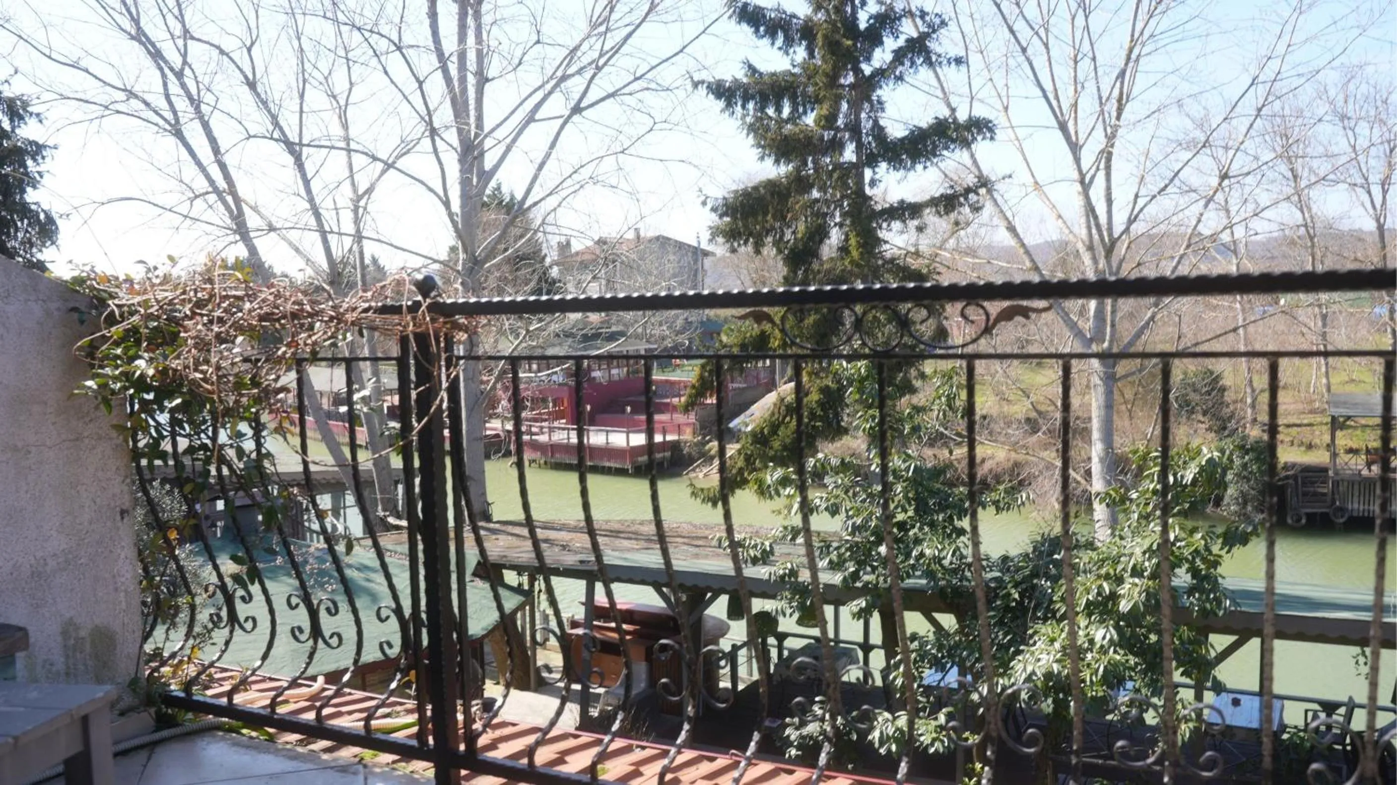 View (from property/room) in Treetops Park Hotel