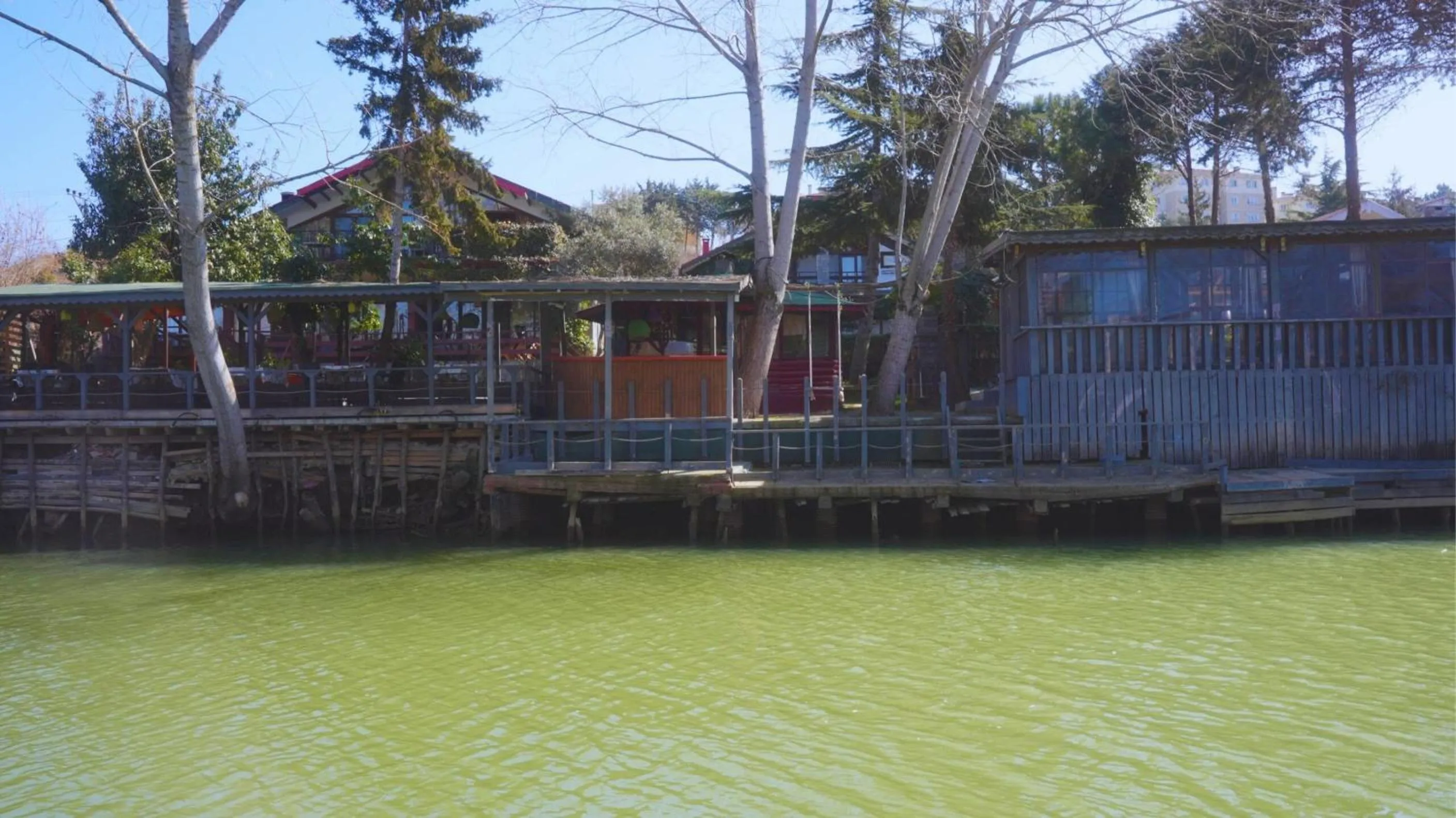 View (from property/room) in Treetops Park Hotel