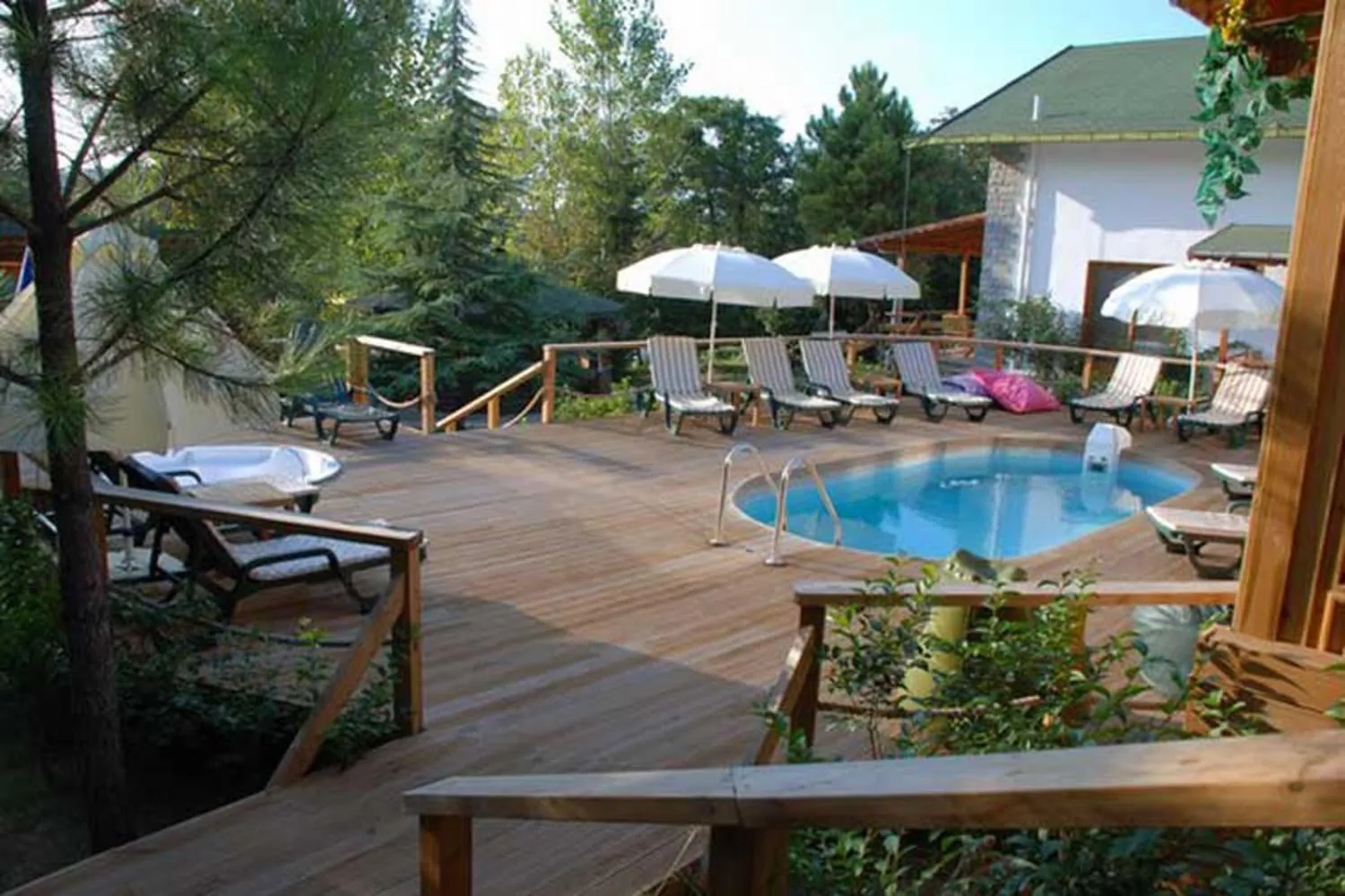 View (from property/room) in Treetops Park Hotel